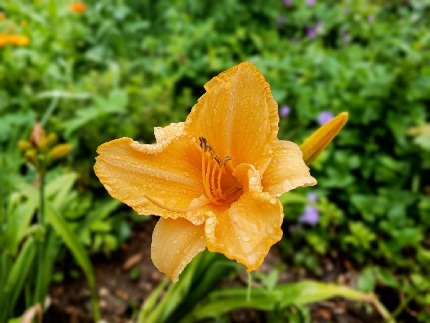 Можайск, Можайский городской округ, Подмосковье, благоустройство, дворовые территории, губернатор, жители, детская площадка, модернизация