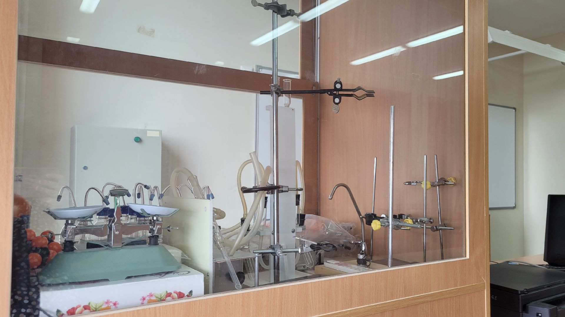 точка роста; видное; образование