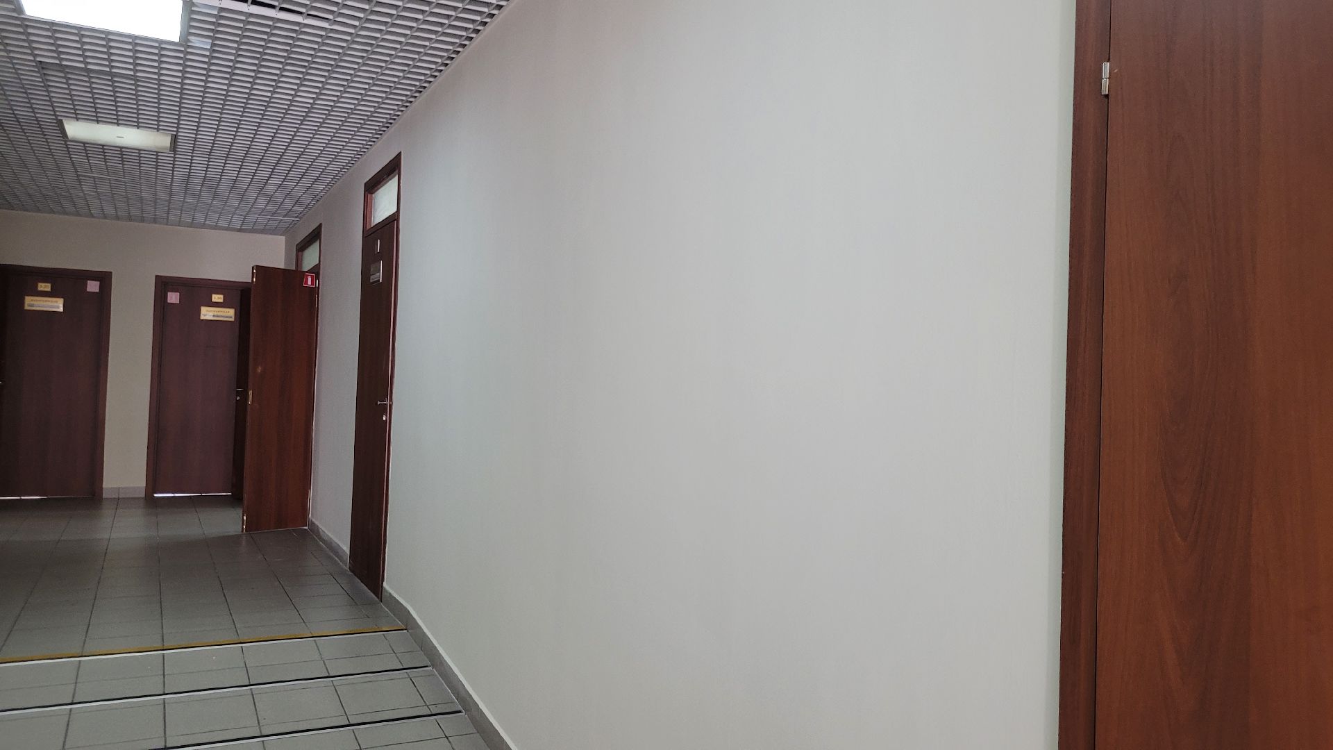 точка роста; видное; образование