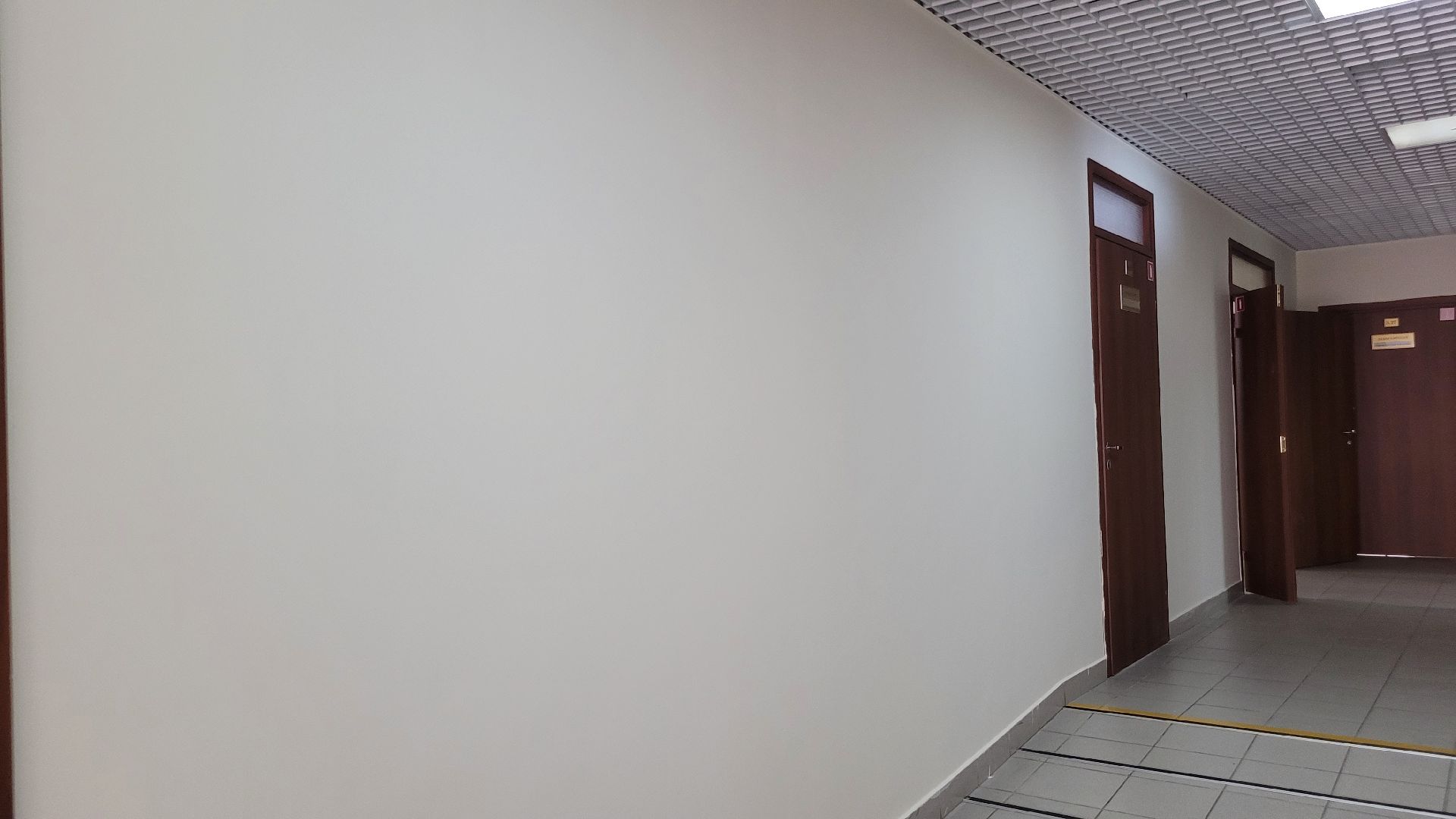 точка роста; видное; образование