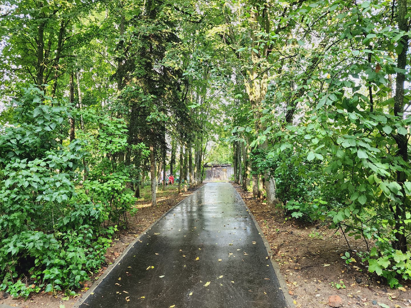 Звенигород, благоустройство, дороги