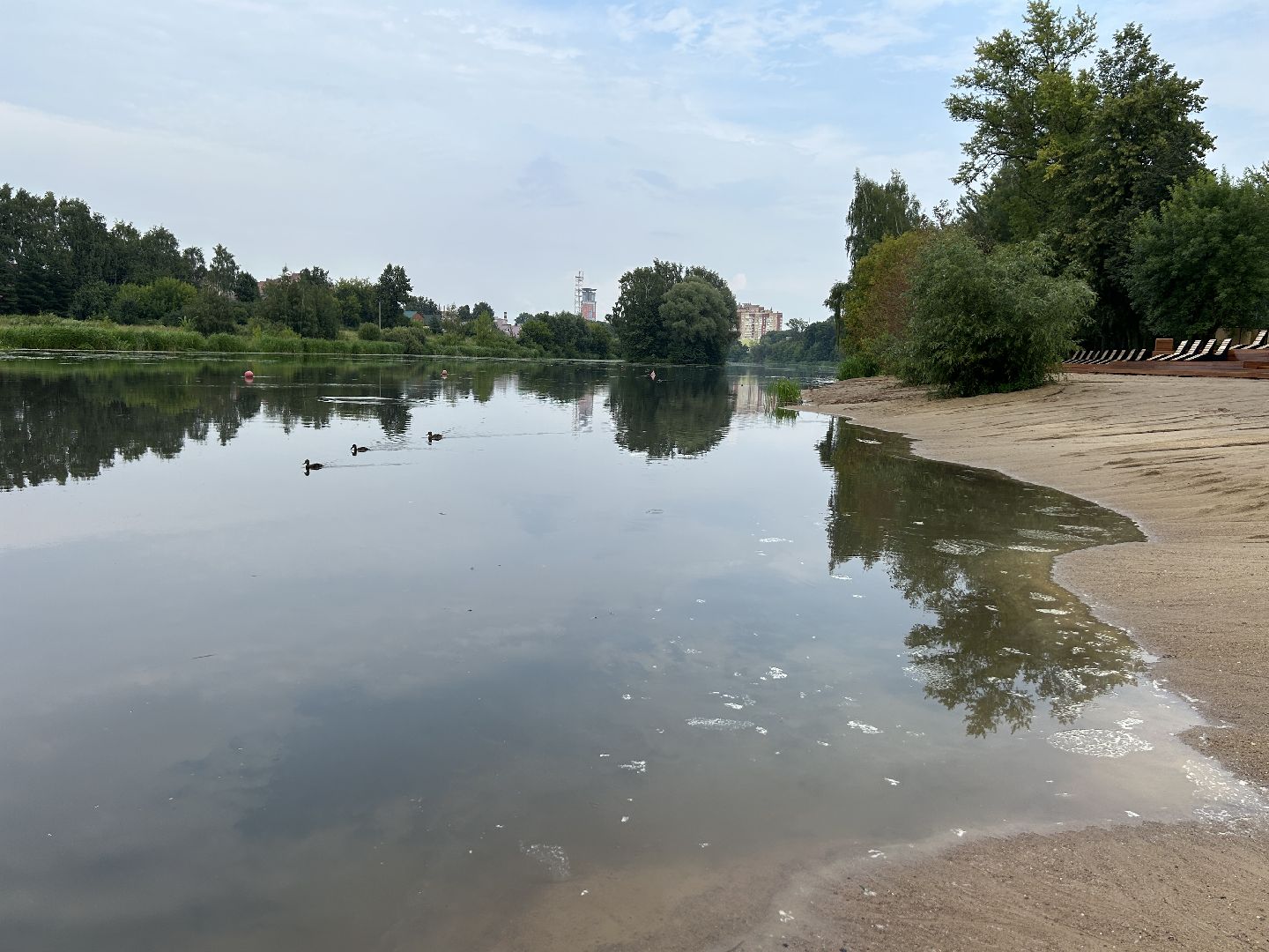 Экология, река, Клязьма, Щёлково