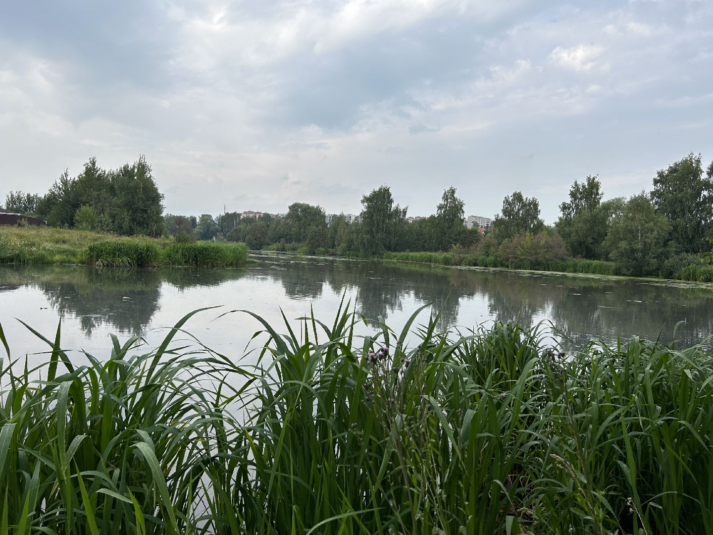 Экология, река, Клязьма, Щёлково