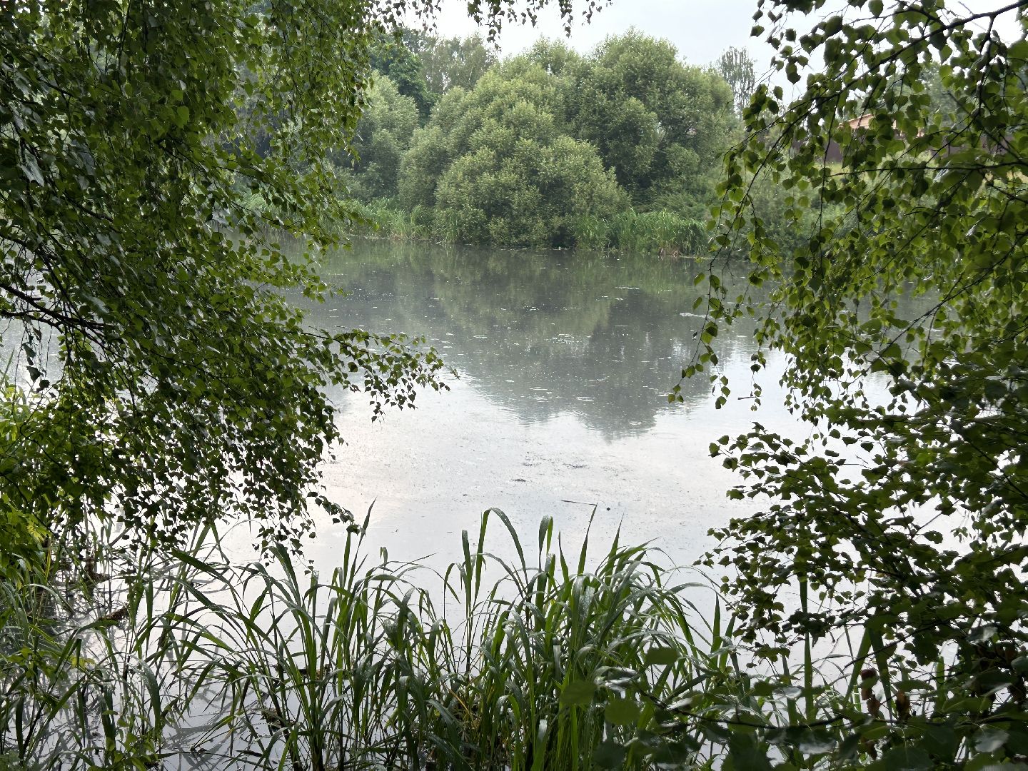 Экология, река, Клязьма, Щёлково