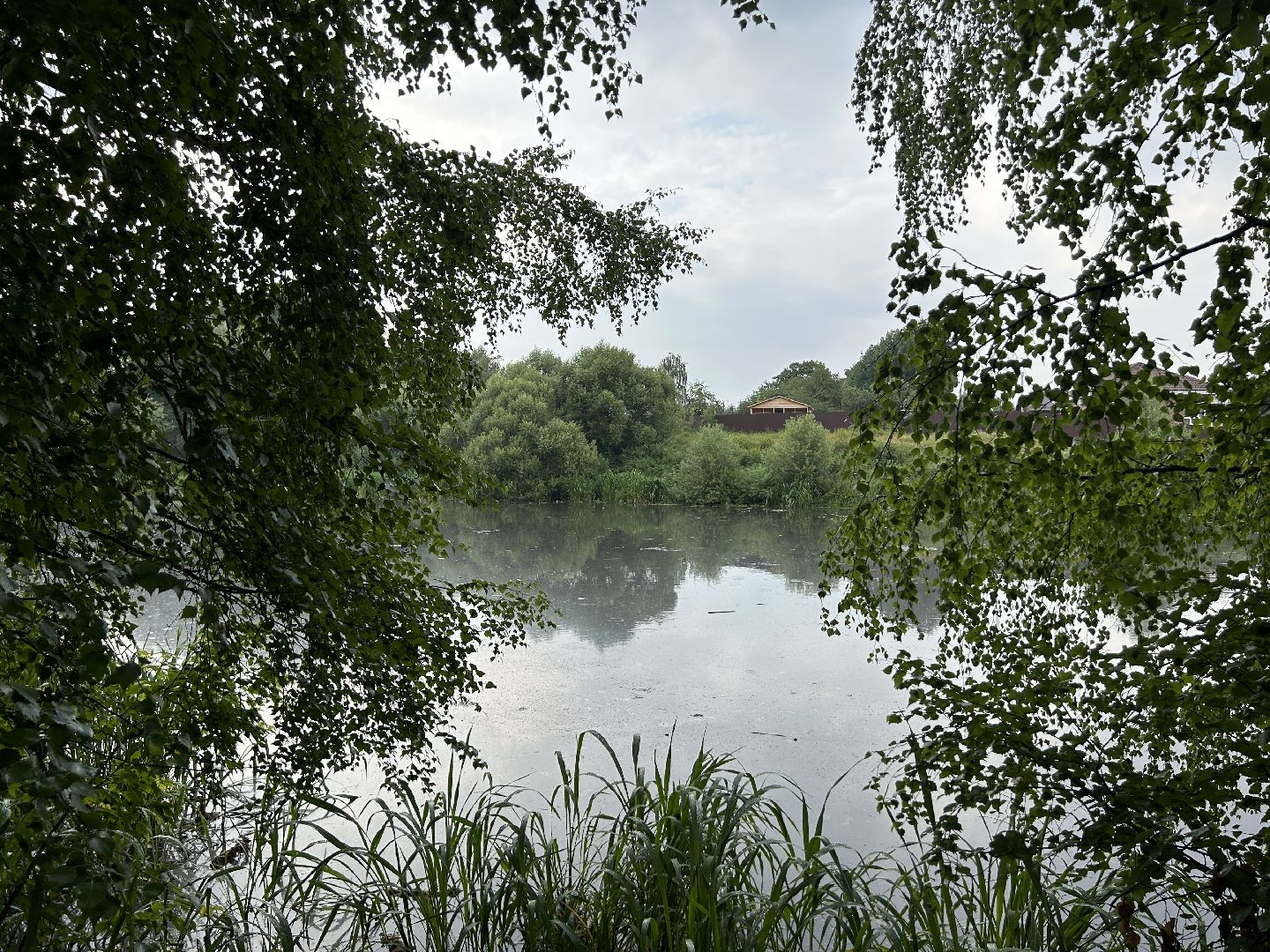 Экология, река, Клязьма, Щёлково