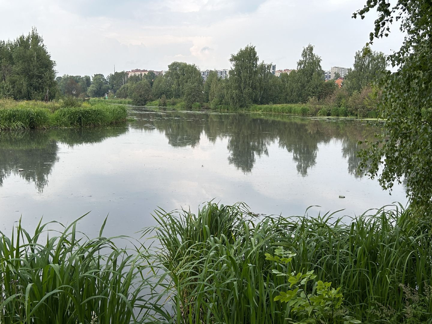 Экология, река, Клязьма, Щёлково