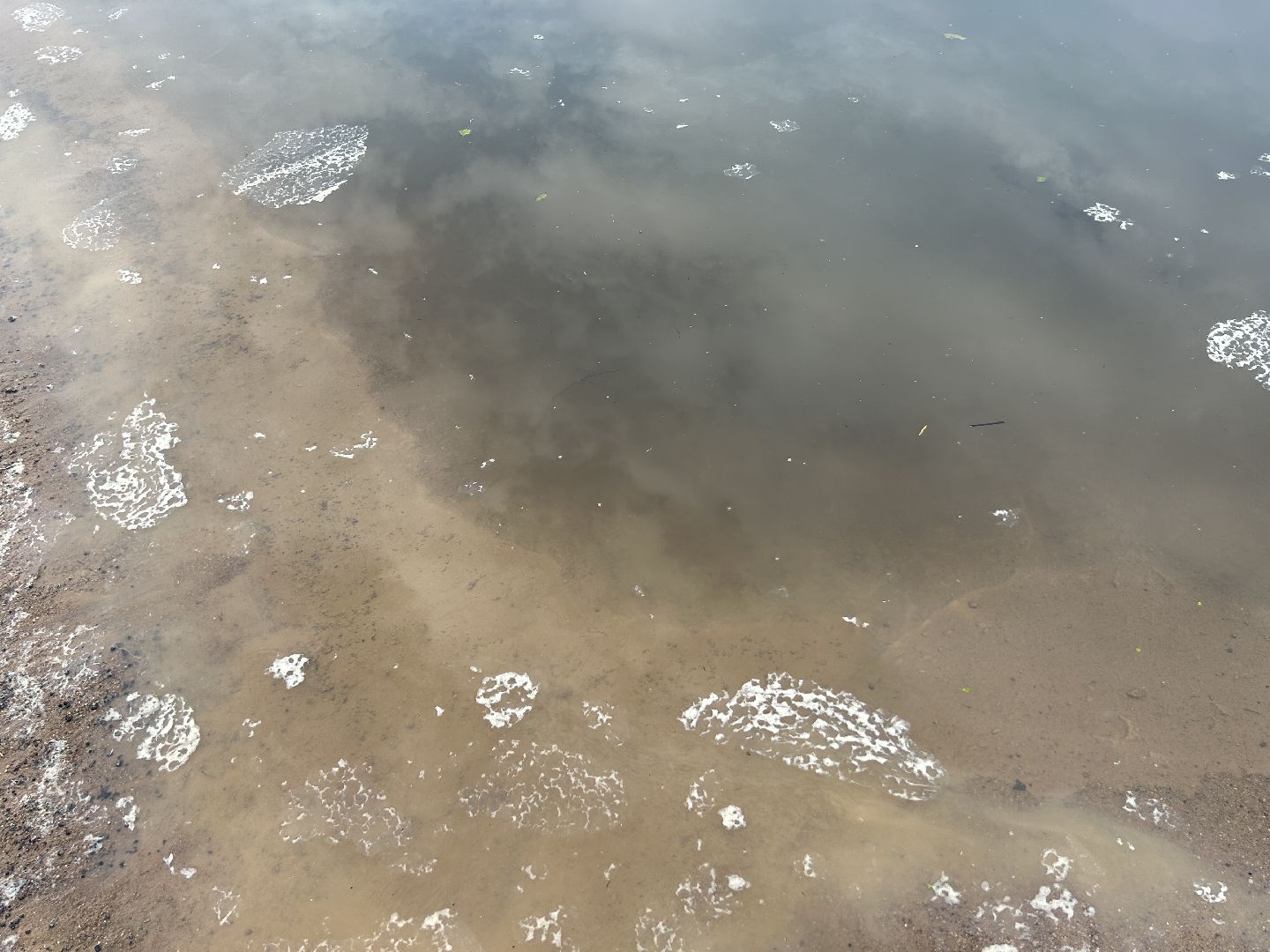 Экология, река, Клязьма, Щёлково