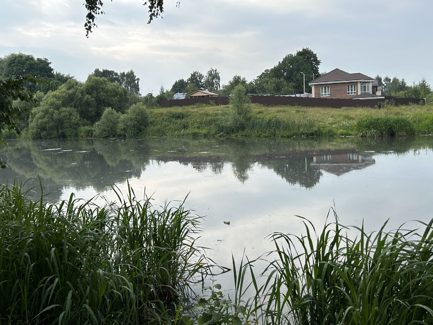 Экология, река, Клязьма, Щёлково