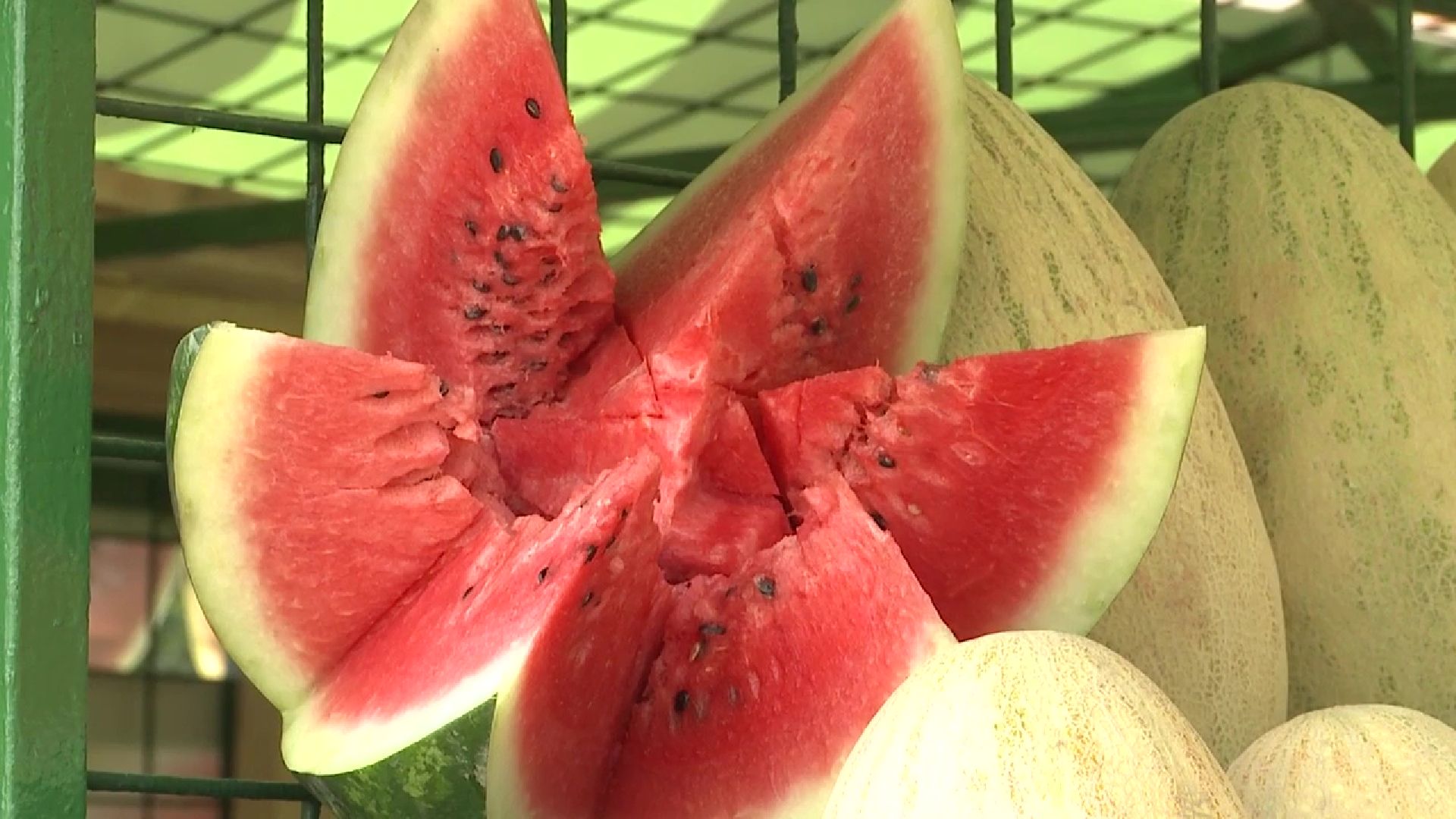 Реутов, сезон ягод, арбузы, дыни, бахчевые развалы