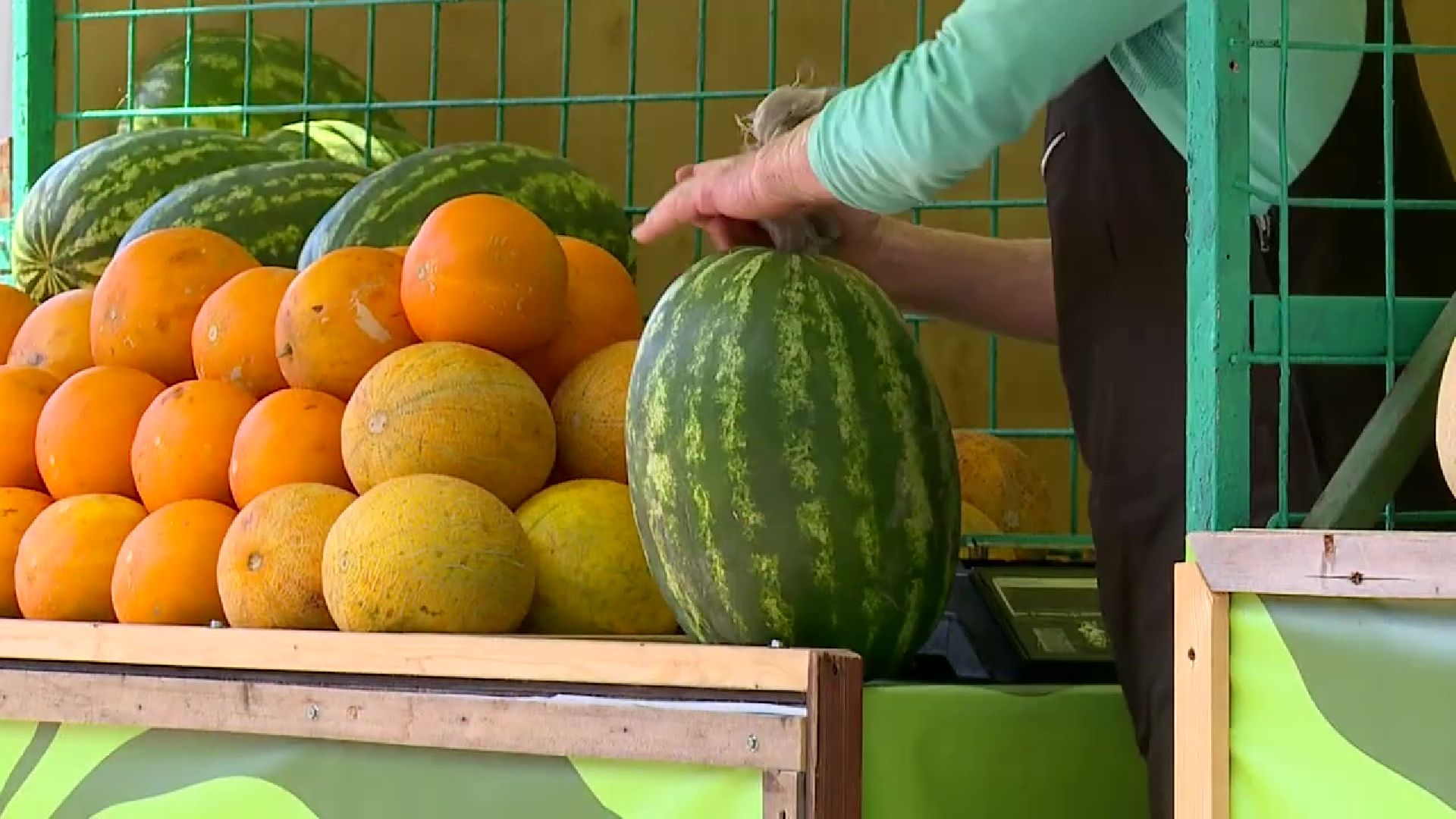 Реутов, сезон ягод, арбузы, дыни, бахчевые развалы