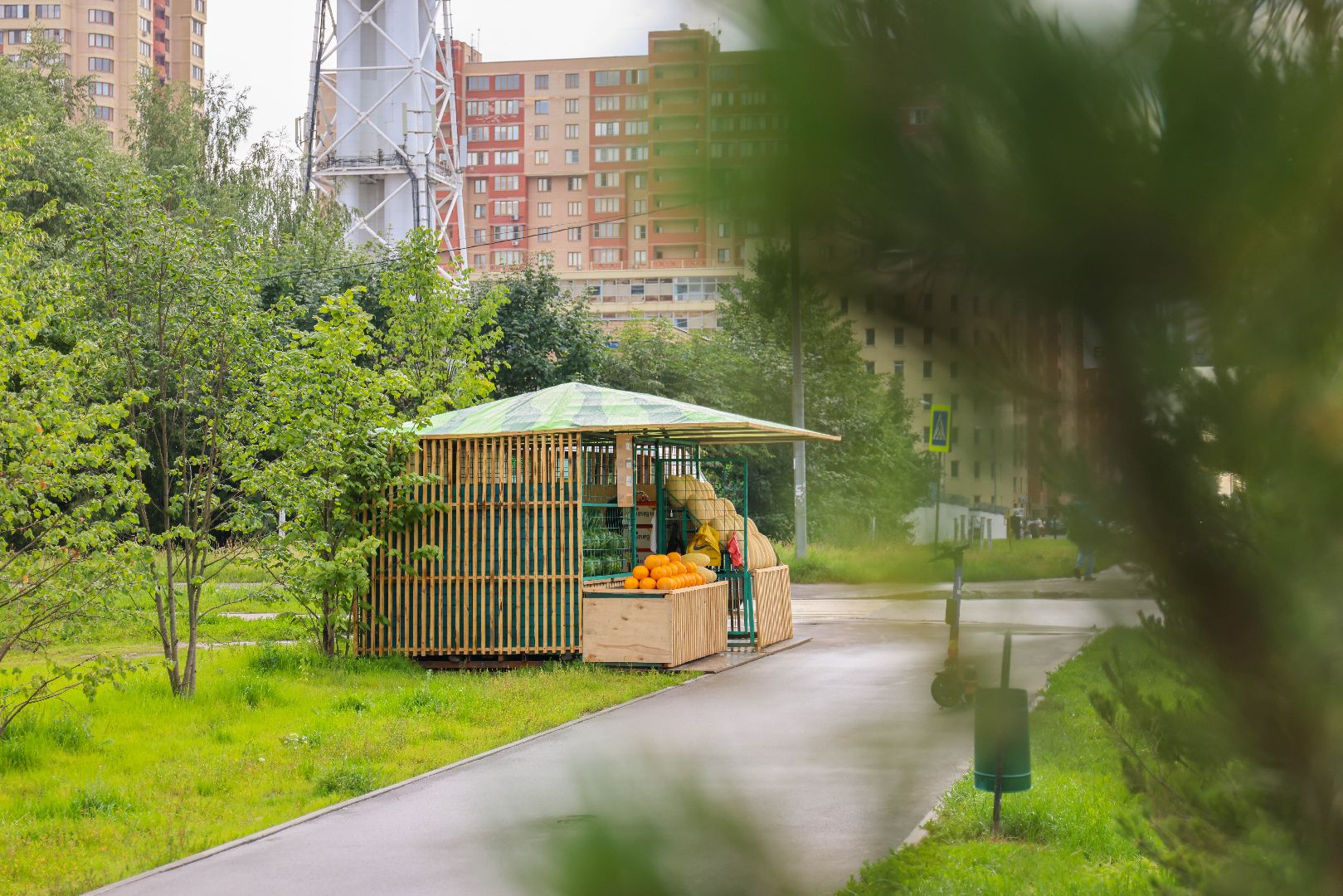 Реутов, сезон ягод, арбузы, дыни, бахчевые развалы