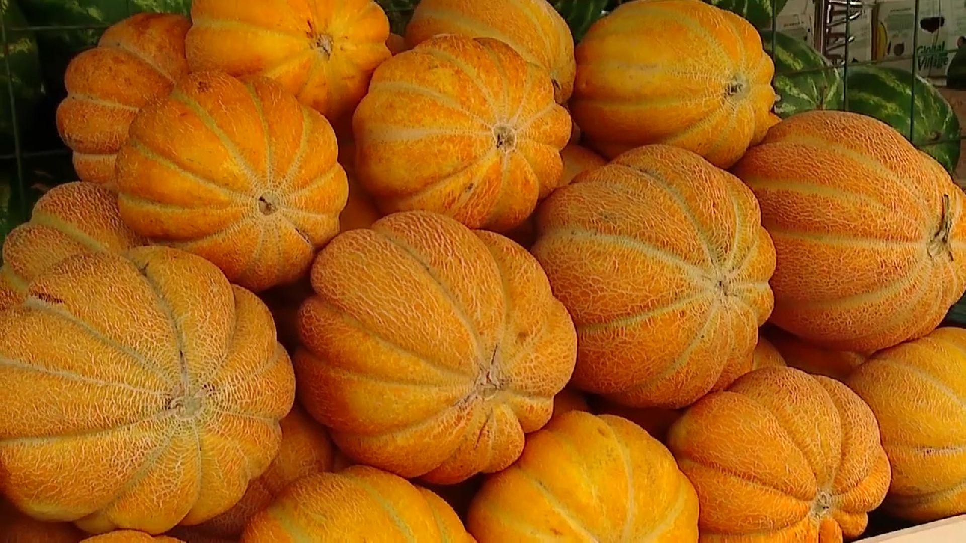 Реутов, сезон ягод, арбузы, дыни, бахчевые развалы