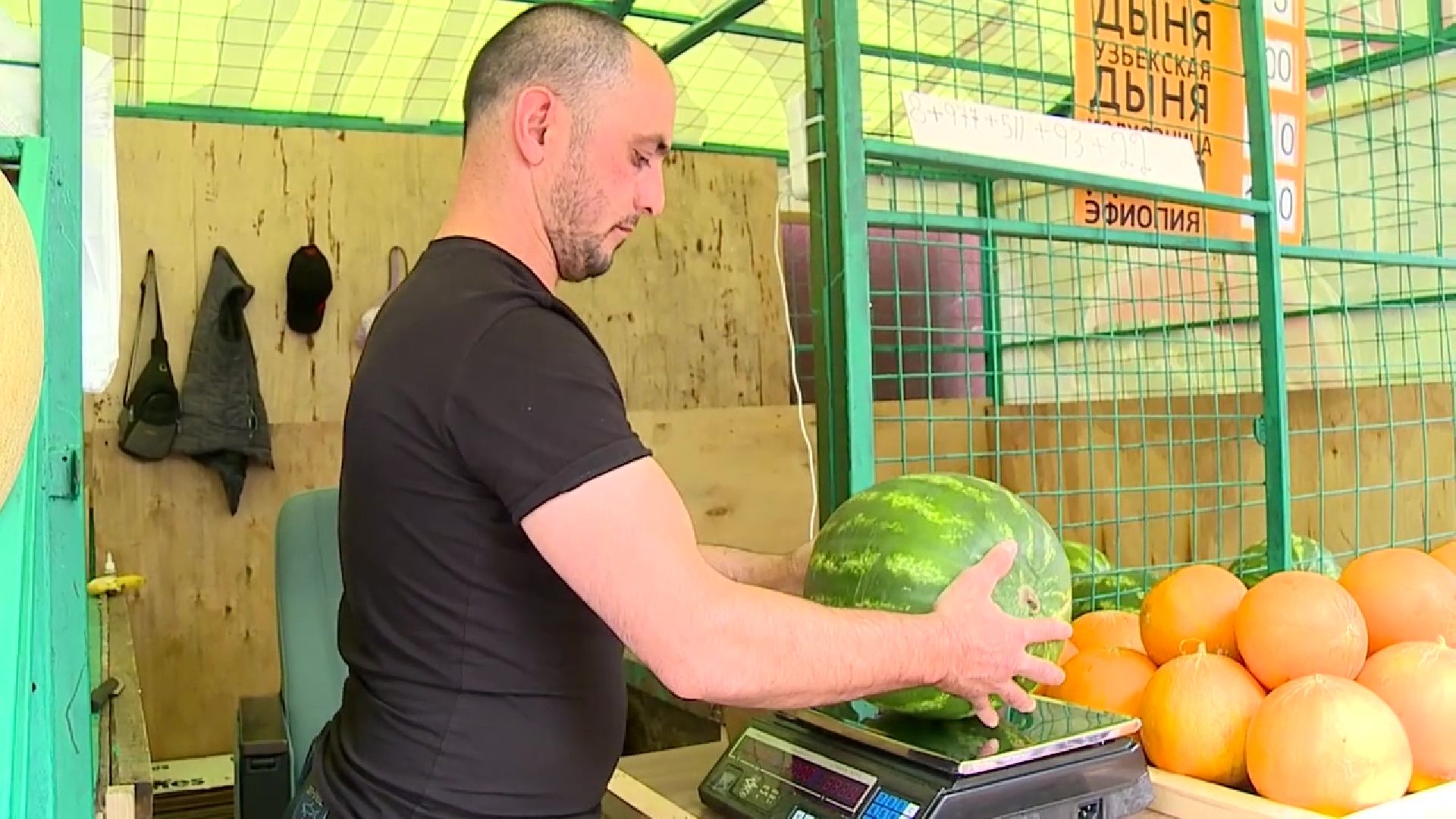 Реутов, сезон ягод, арбузы, дыни, бахчевые развалы