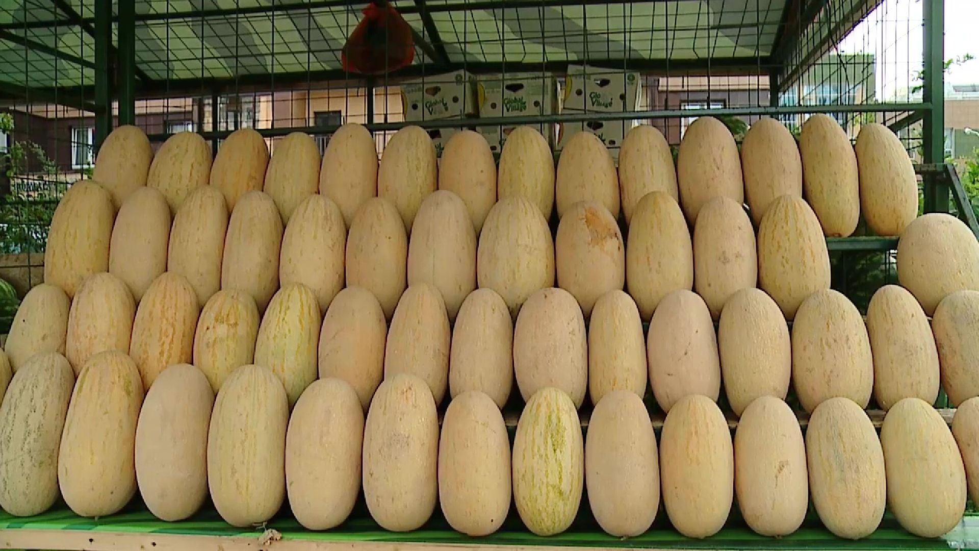 Реутов, сезон ягод, арбузы, дыни, бахчевые развалы