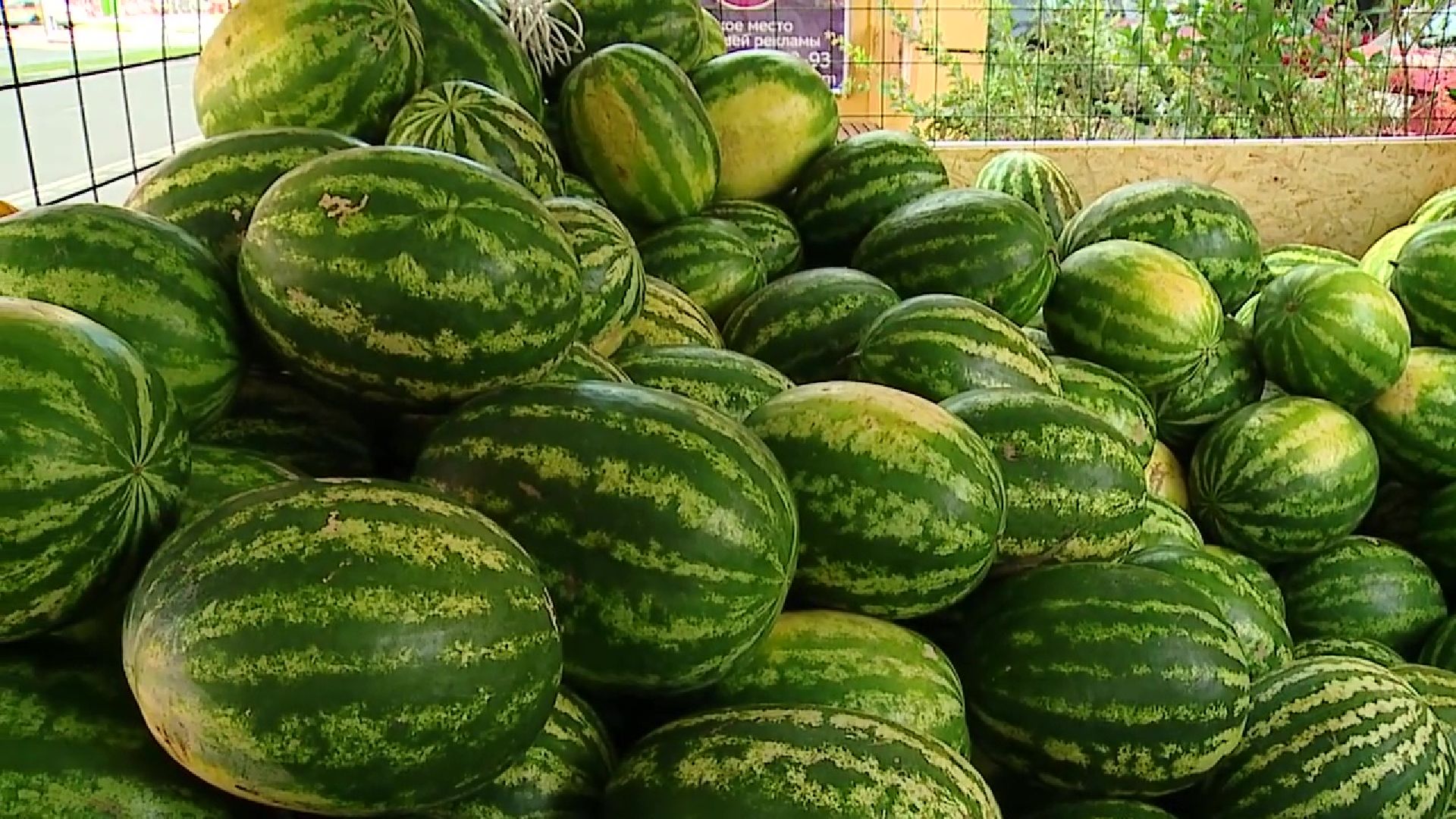 Реутов, сезон ягод, арбузы, дыни, бахчевые развалы