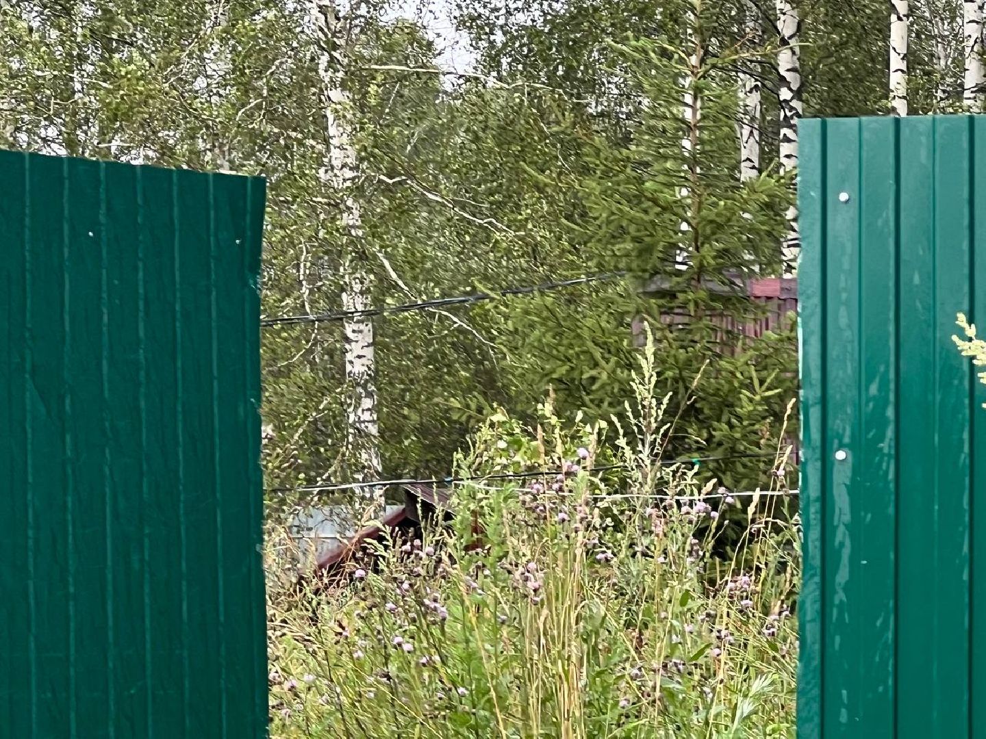 #Шатура#Новошино#нарколаборатория