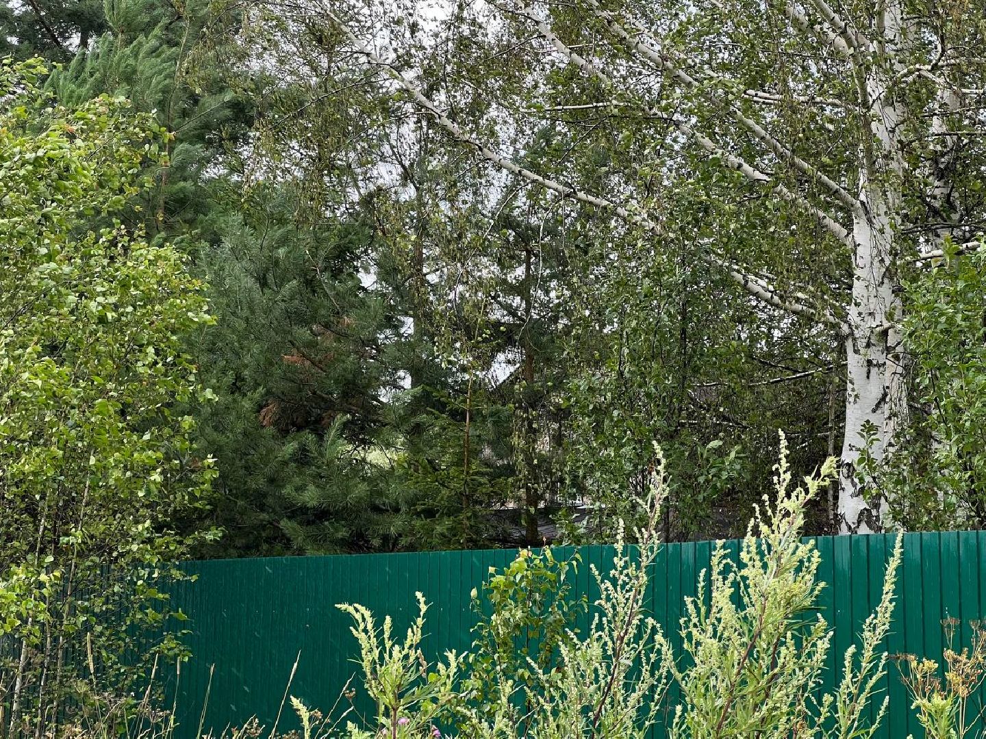 #Шатура#Новошино#нарколаборатория