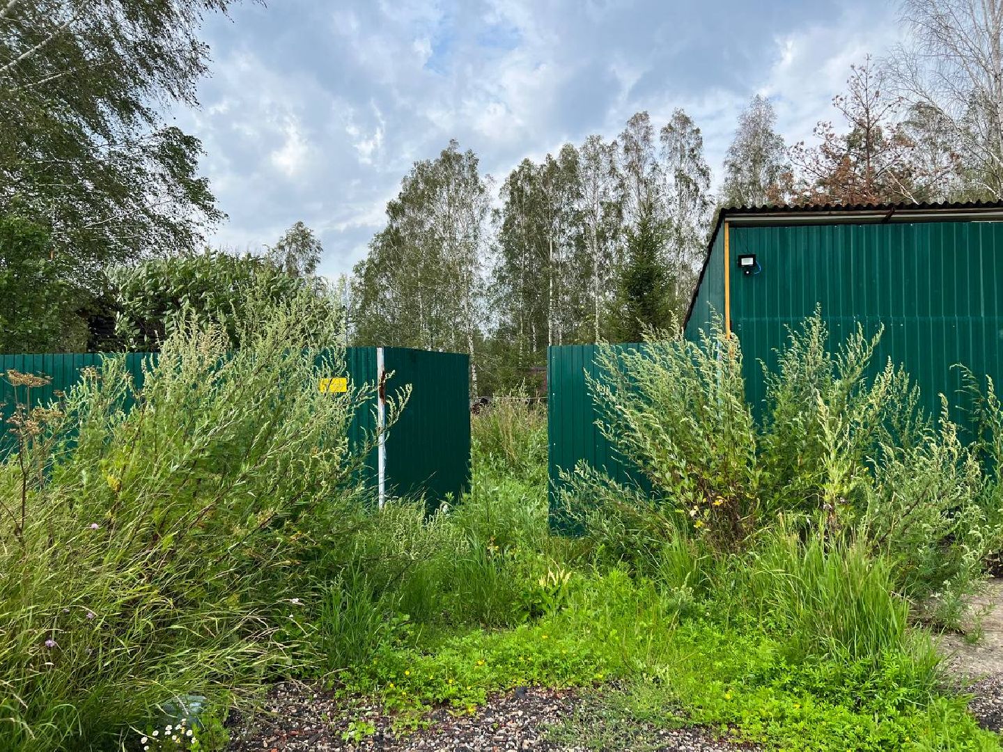 #Шатура#Новошино#нарколаборатория