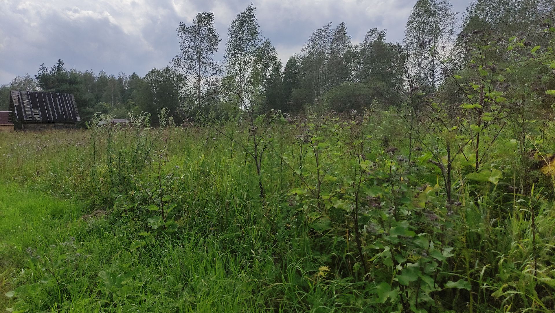 #Шатура#Новошино#нарколаборатория