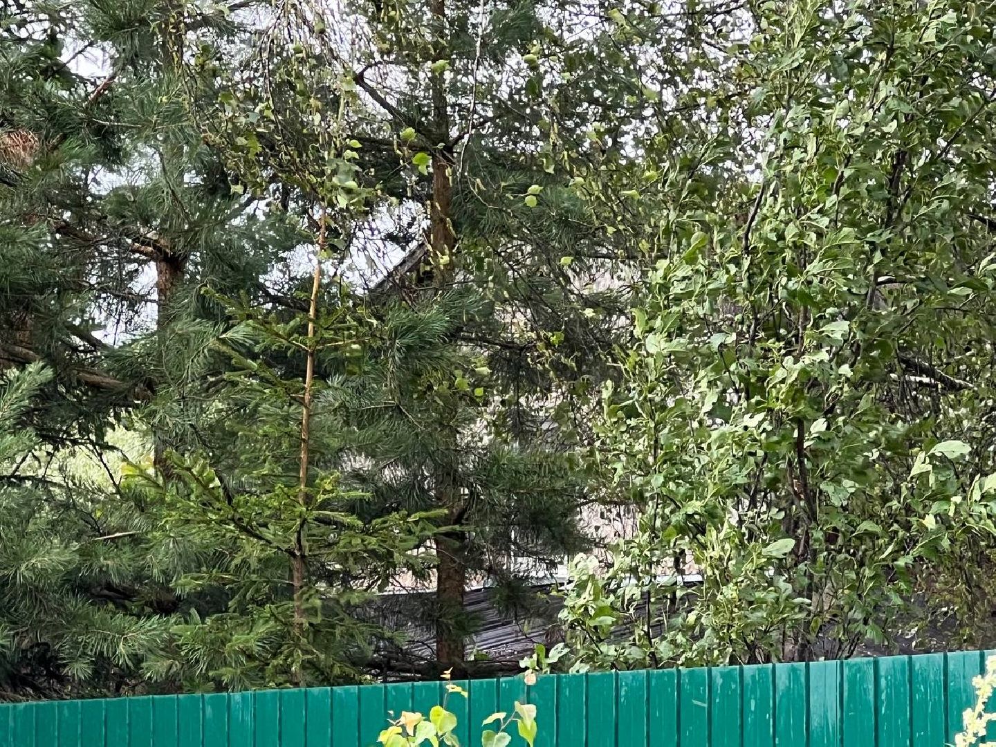 #Шатура#Новошино#нарколаборатория