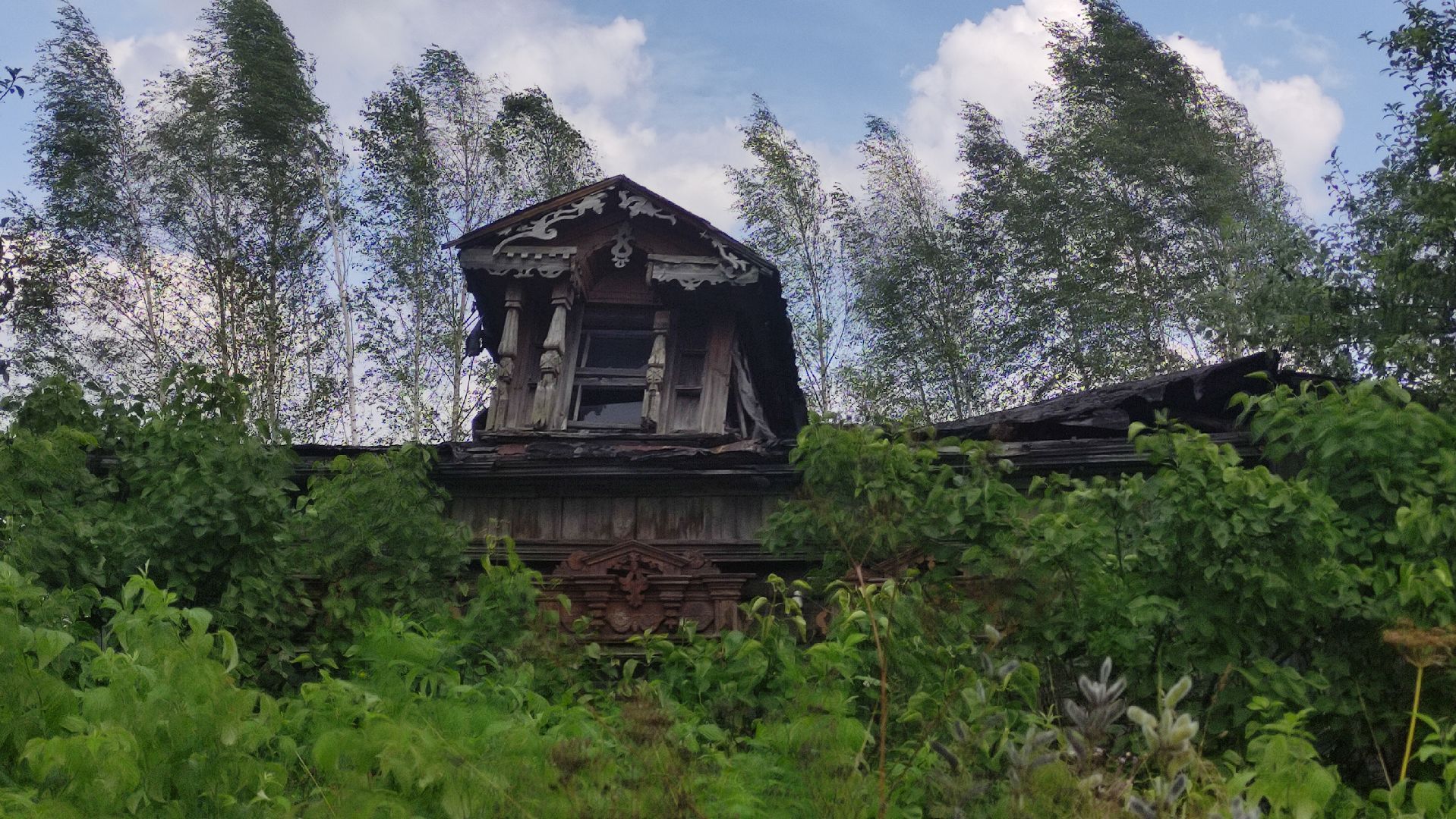 #Шатура#Новошино#нарколаборатория