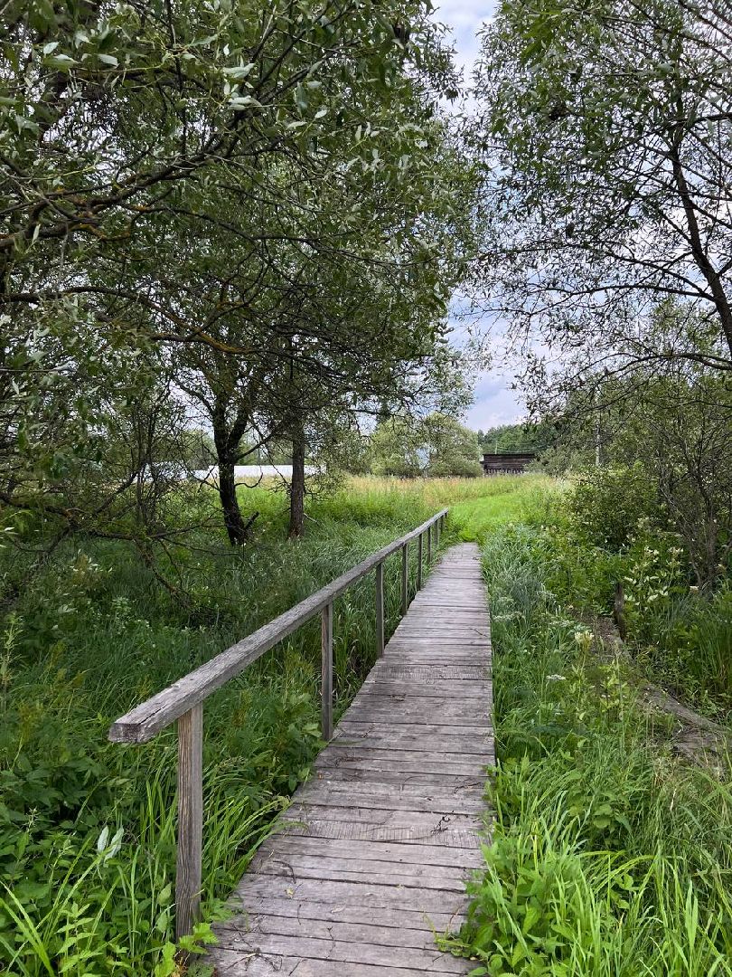 #Шатура#Новошино#нарколаборатория