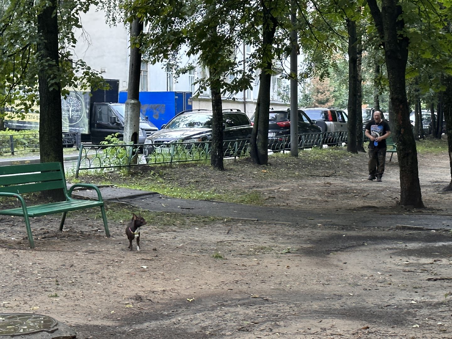 Одинцово, Благоустройство, Подмосковье