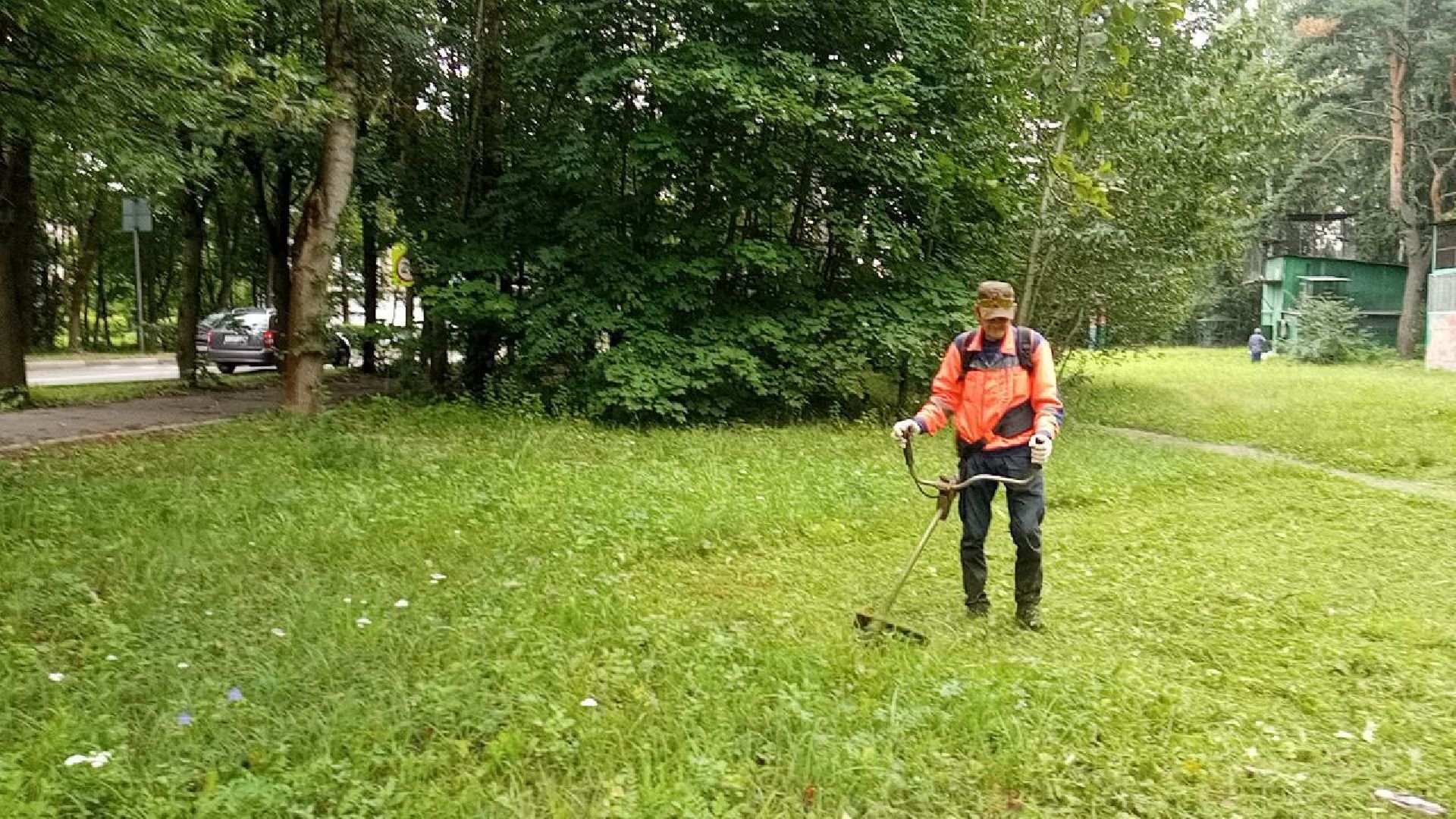 Подмосковье, Ивантеевка, благоустройство