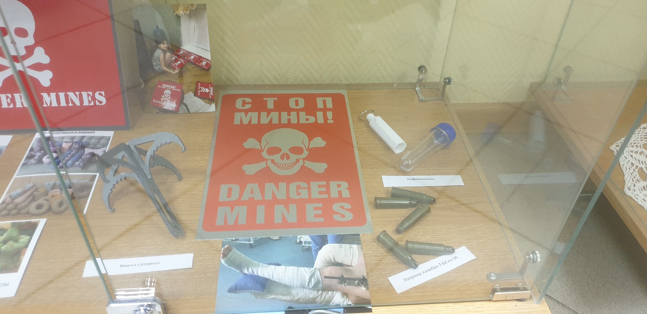 Долгопрудный, общественники, выставки, манекен