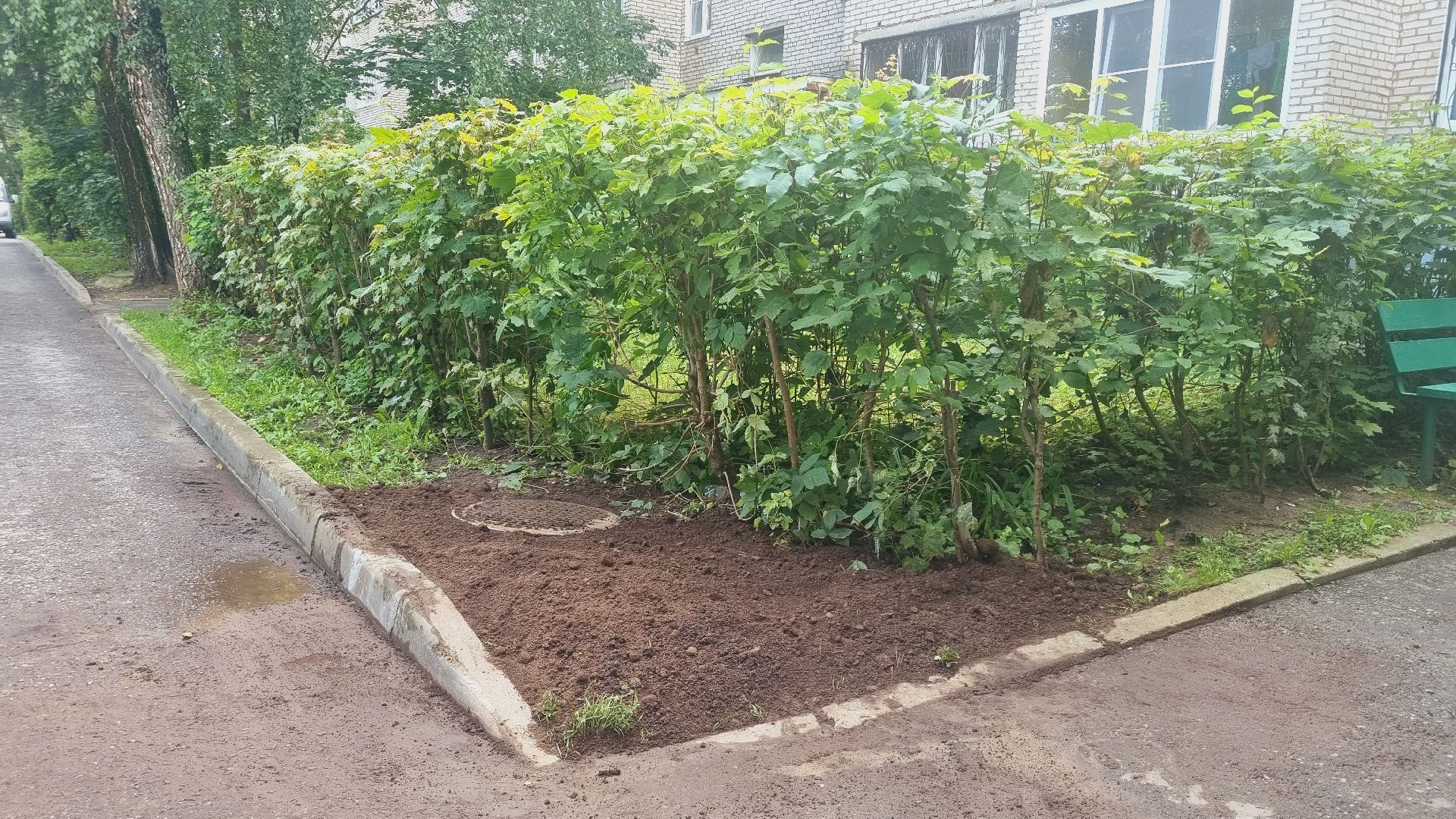 Подмосковье, Ивантеевка, погода