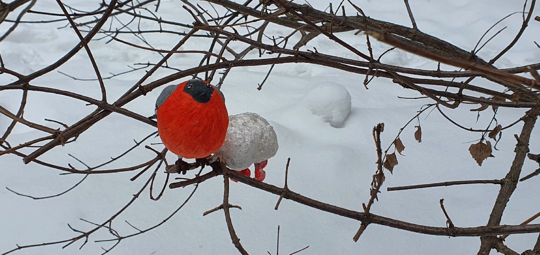 Домодедово, 8 Марта, птицы, искусство,