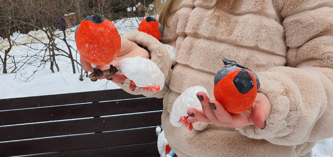 Домодедово, 8 Марта, птицы, искусство,