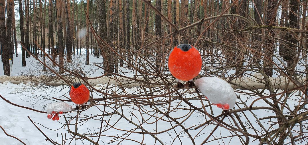 Домодедово, 8 Марта, птицы, искусство,