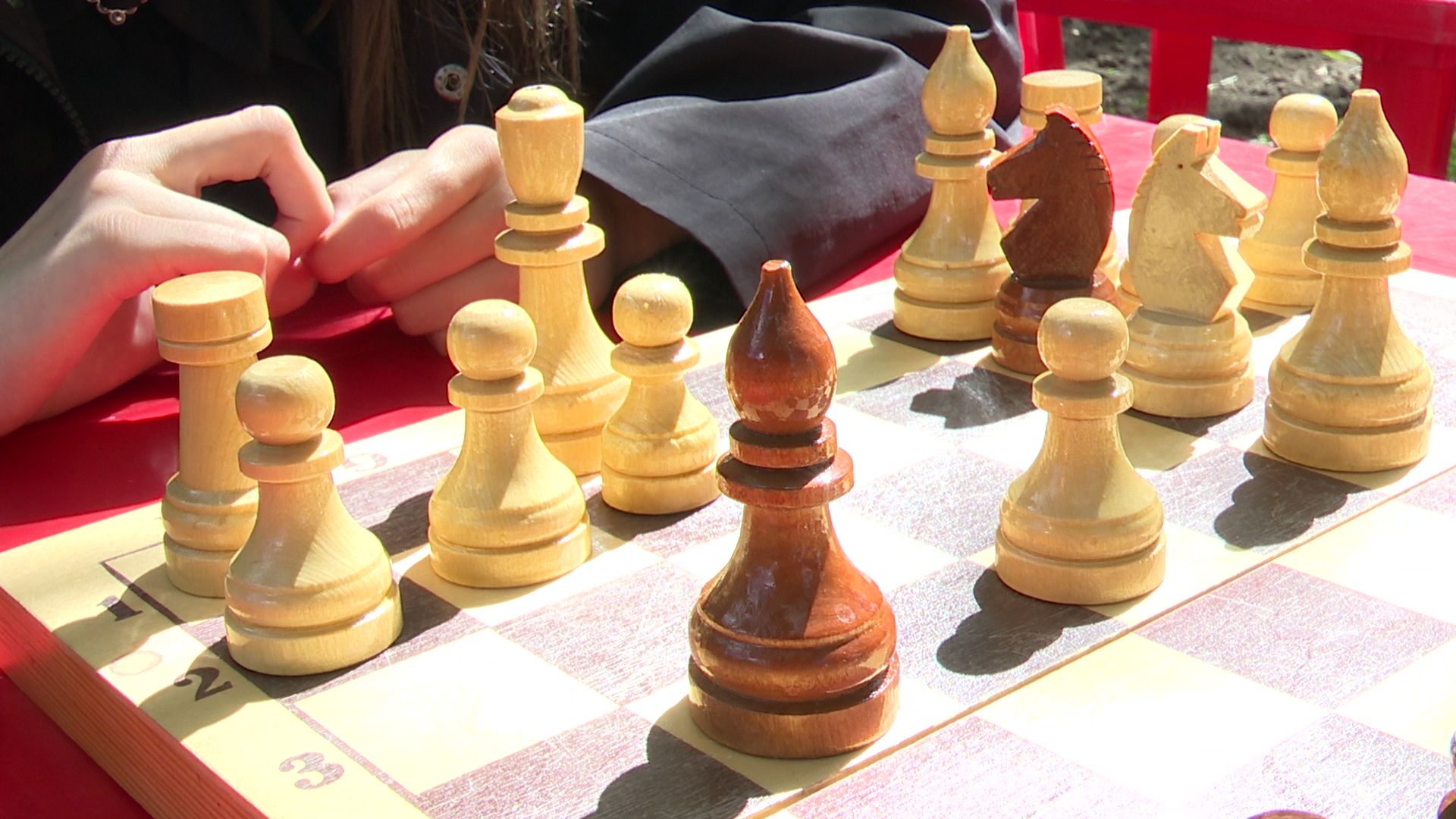 Реутов, Библиотеки в парке, проект, Лето в Подмосковье, мемоприятия