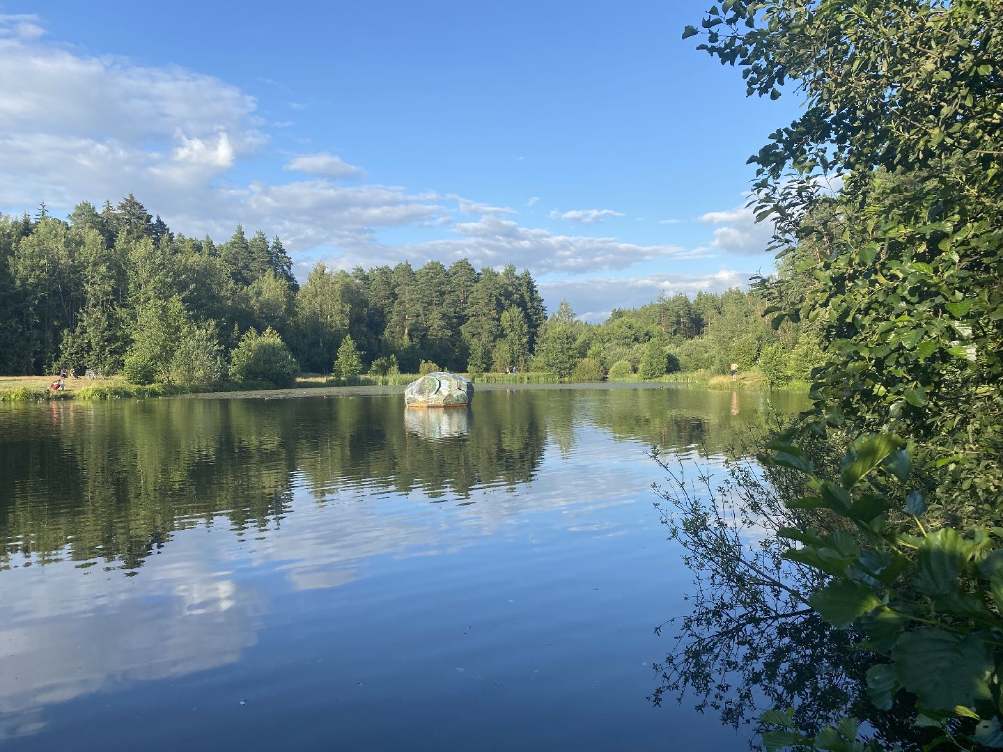 Раменское, общество, Кратовское озеро, художник построил домик на воде