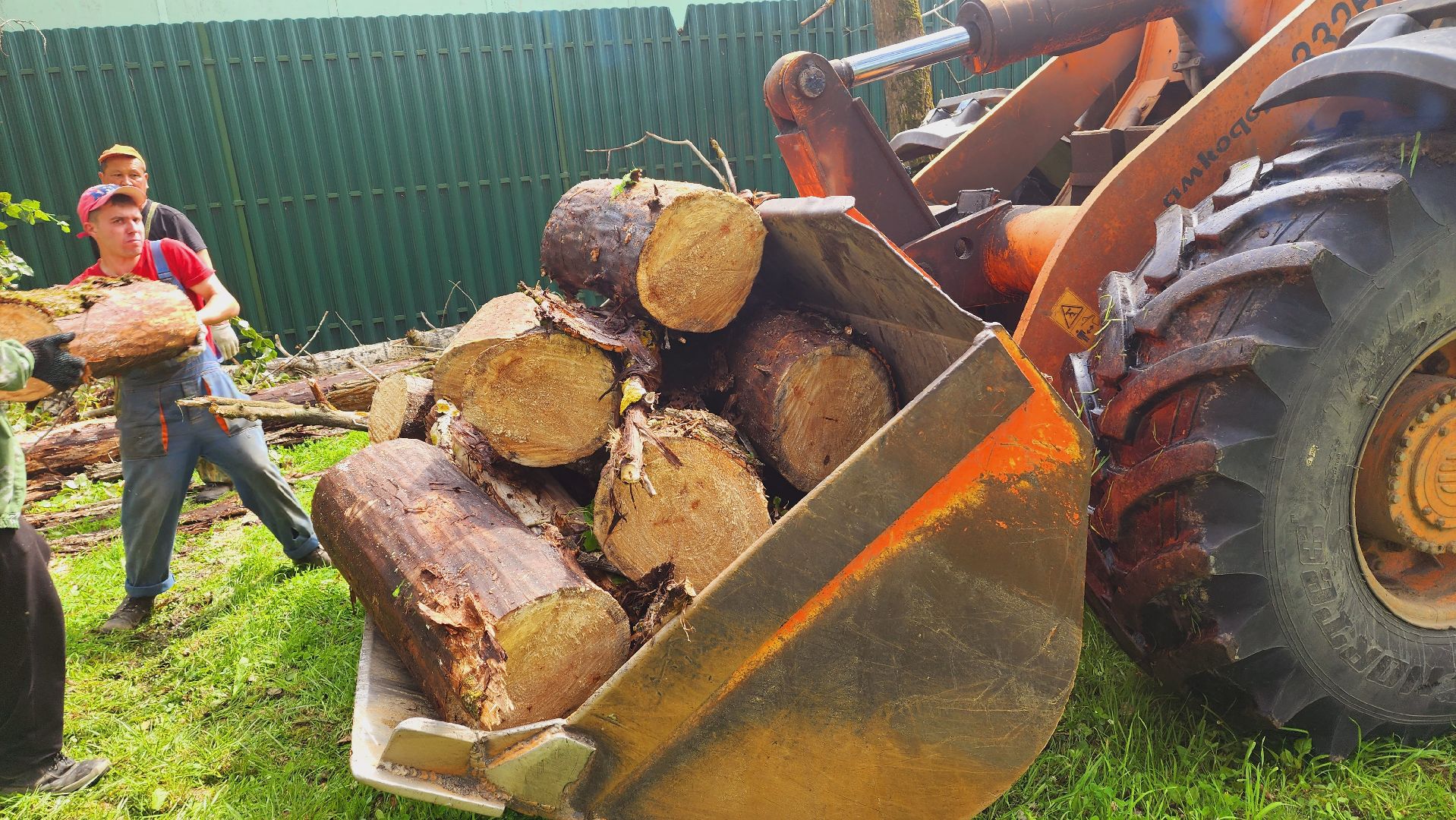 Подмосковье, Ивантеевка, Благоустройство