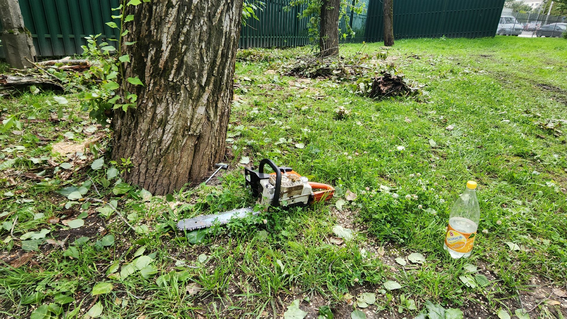 Подмосковье, Ивантеевка, Благоустройство