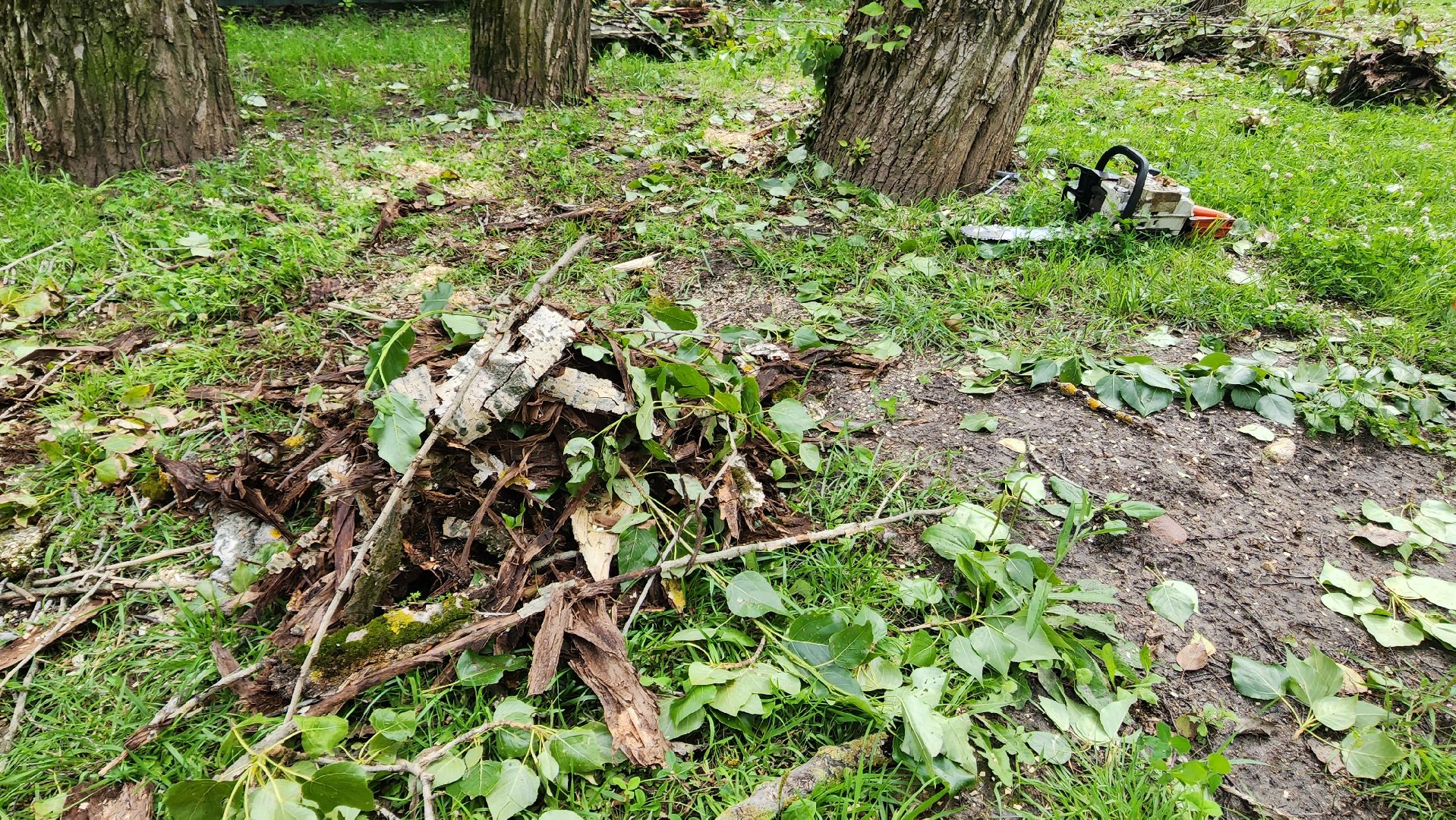 Подмосковье, Ивантеевка, Благоустройство