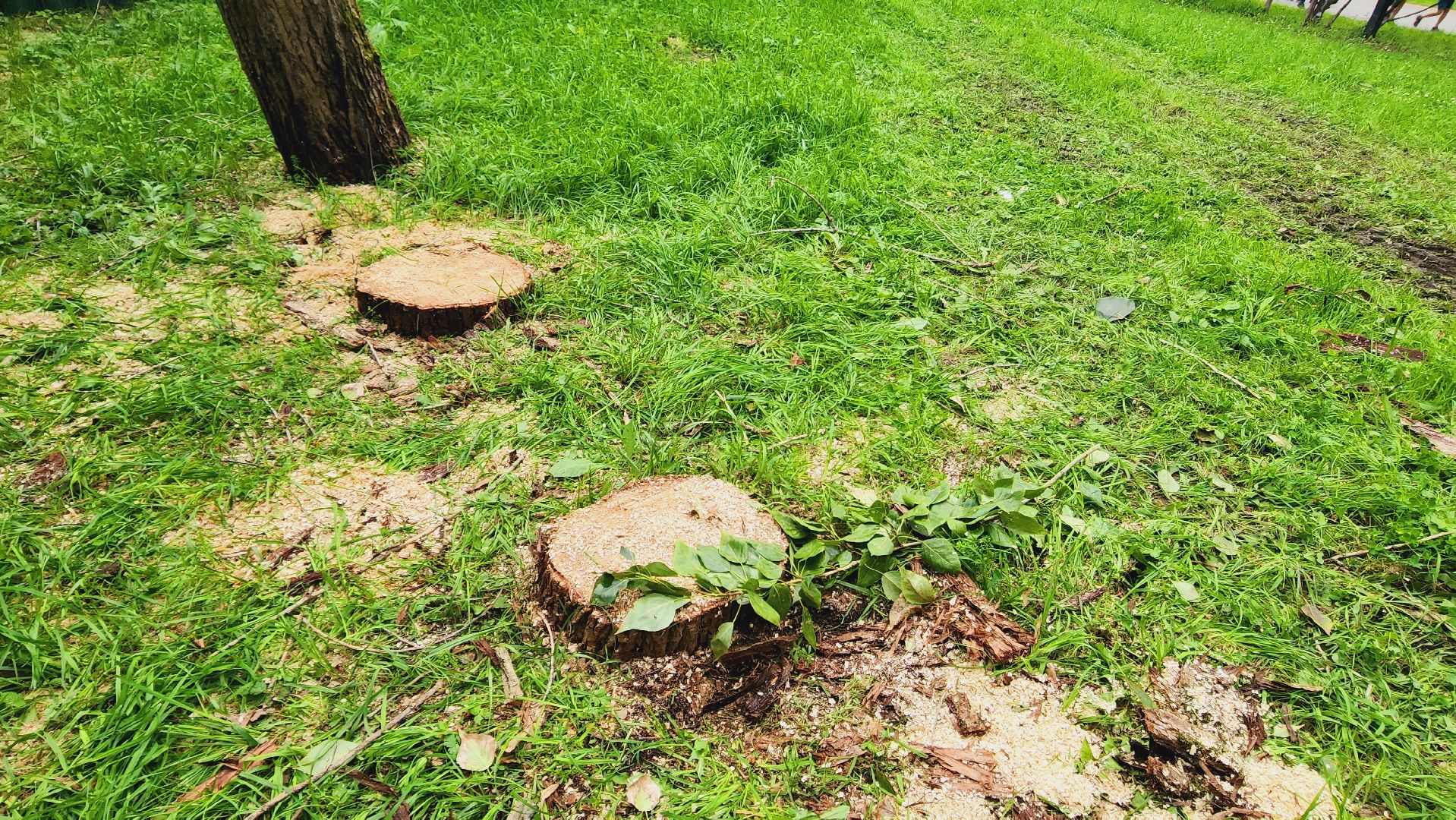 Подмосковье, Ивантеевка, Благоустройство