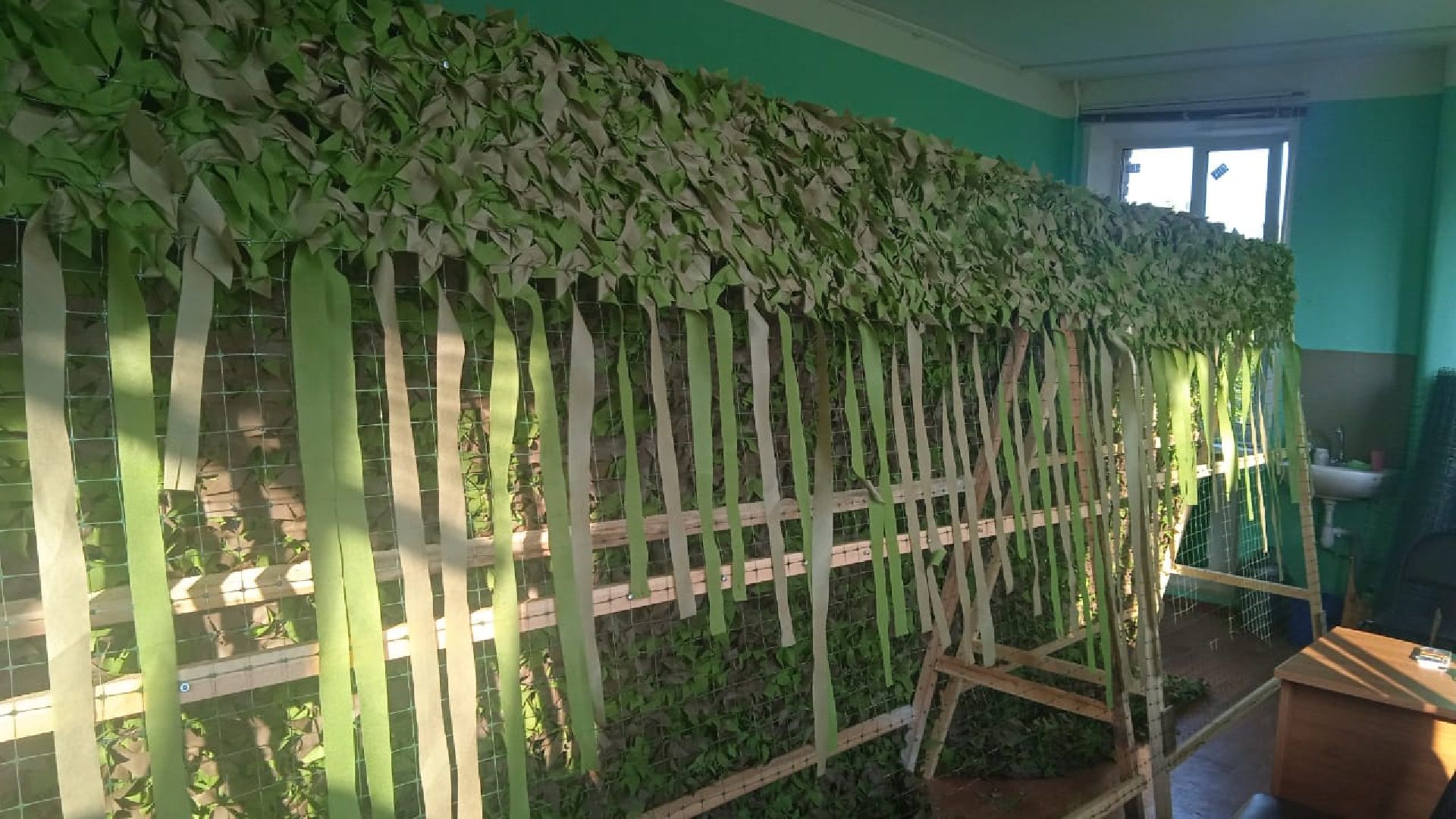 волонтеры, доброе дело, Пушкино