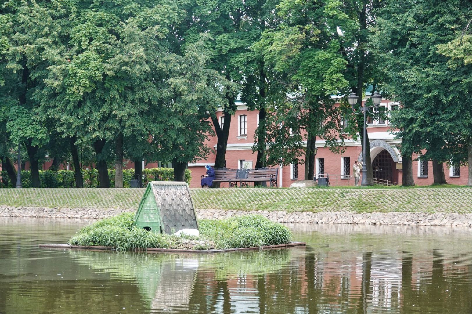 Сергиево-Посадский городской округ, Сергиев Посад, Белые лебеди, Потомство, Окружающий мир, Природа, Птицы