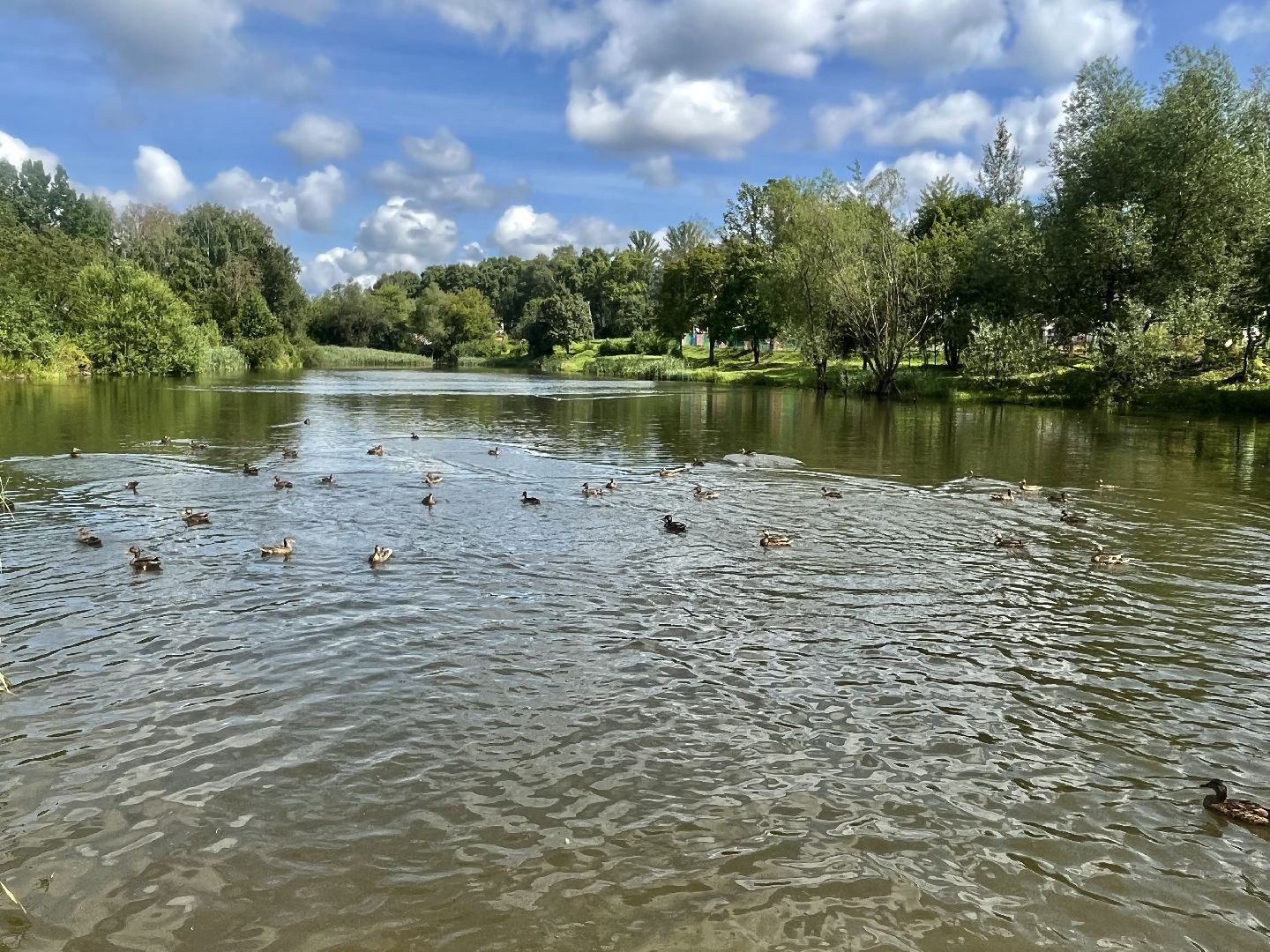 Наро-Фоминск, благоустройство, тротуар, зоны отдыха, лето в Подмосковье