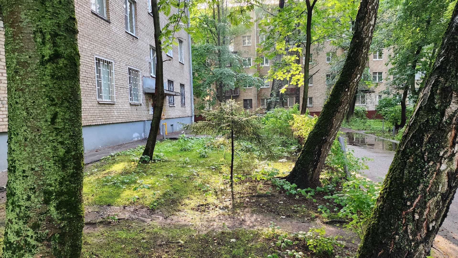 благоустройство, встречи с жителями,