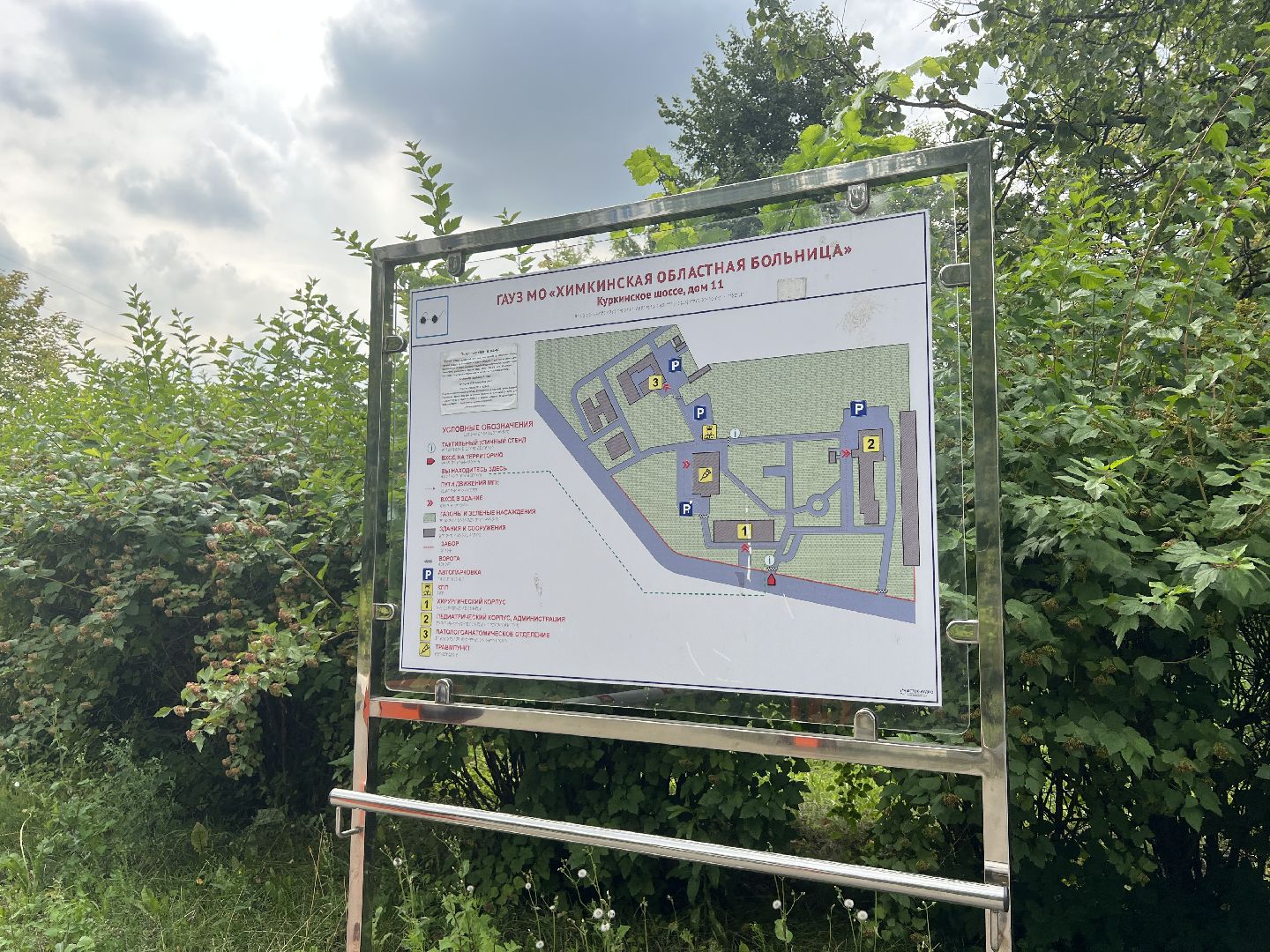 Химки, медицина, гепатит, здоровье