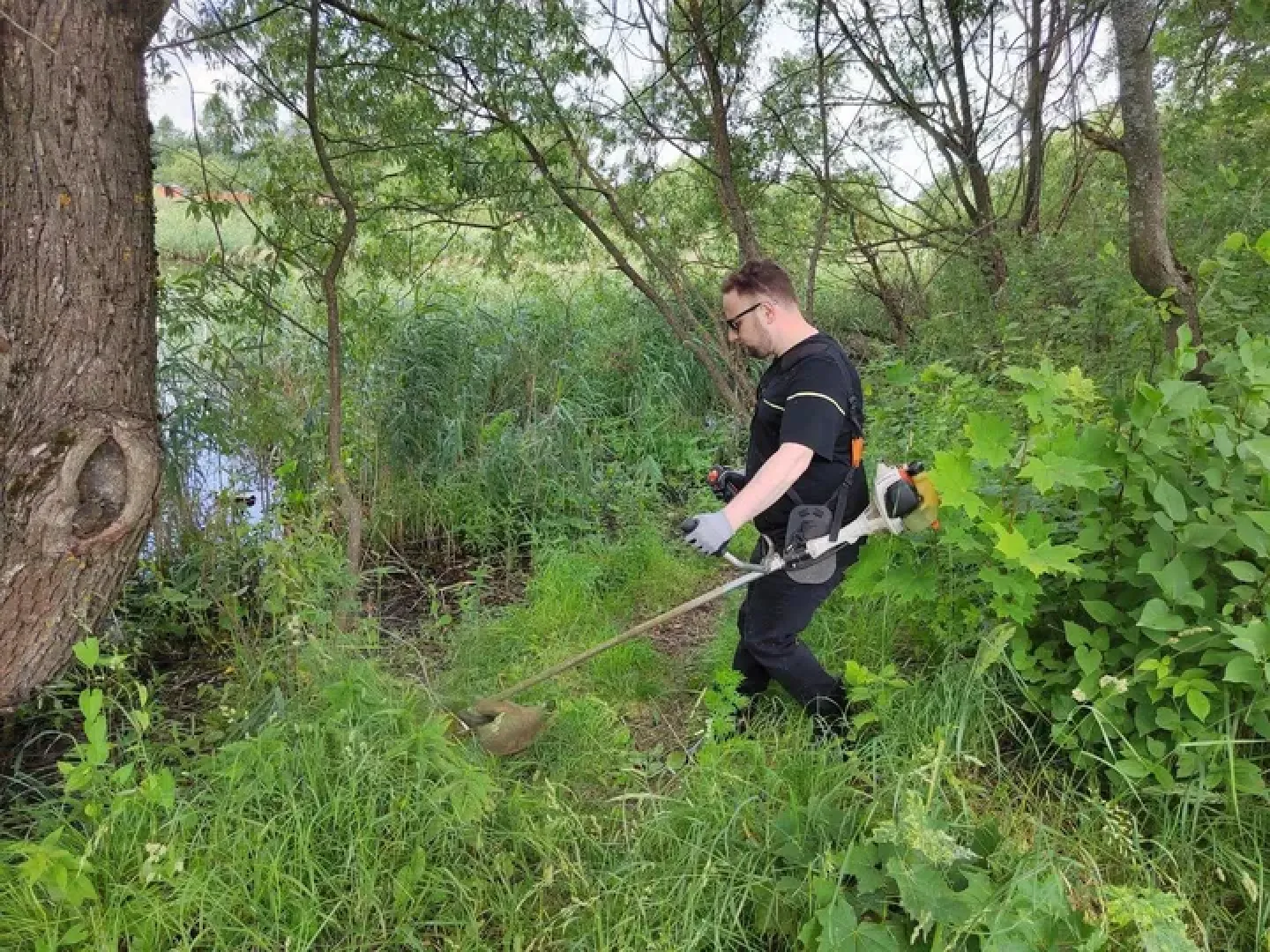 Субботник, благоустройство,Опалиха