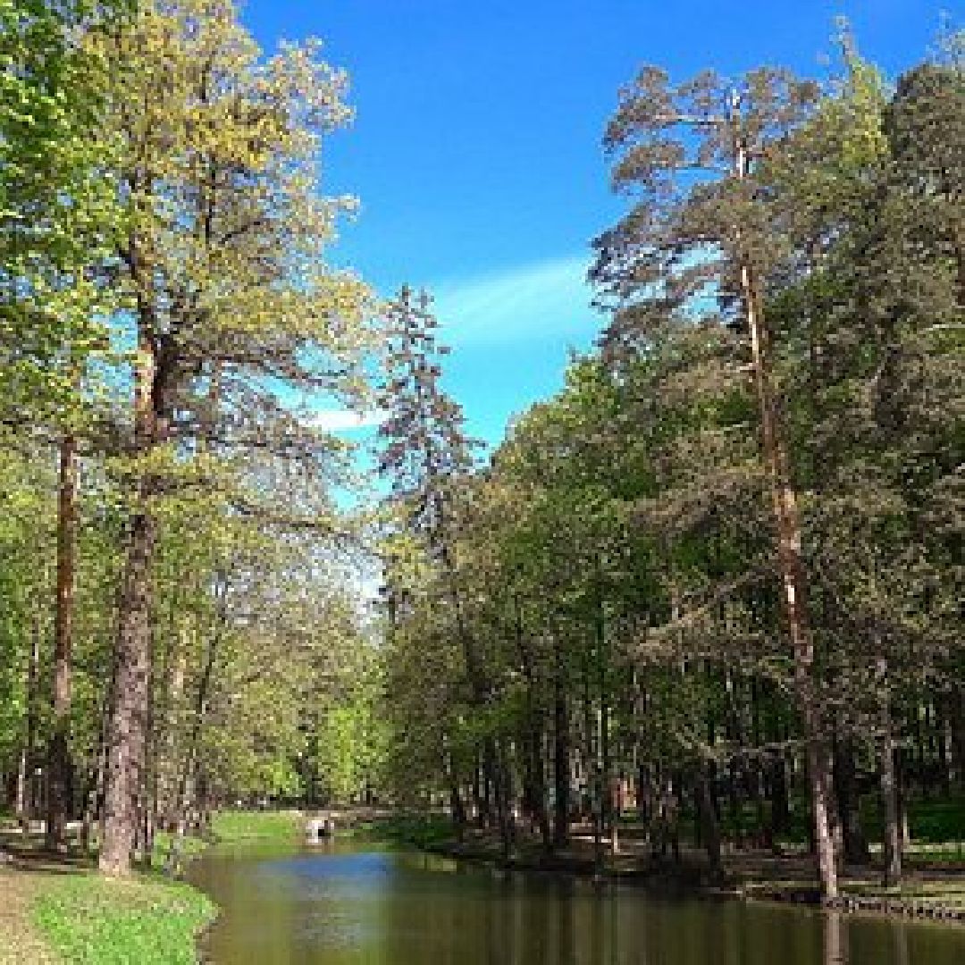 Субботник, благоустройство,Опалиха