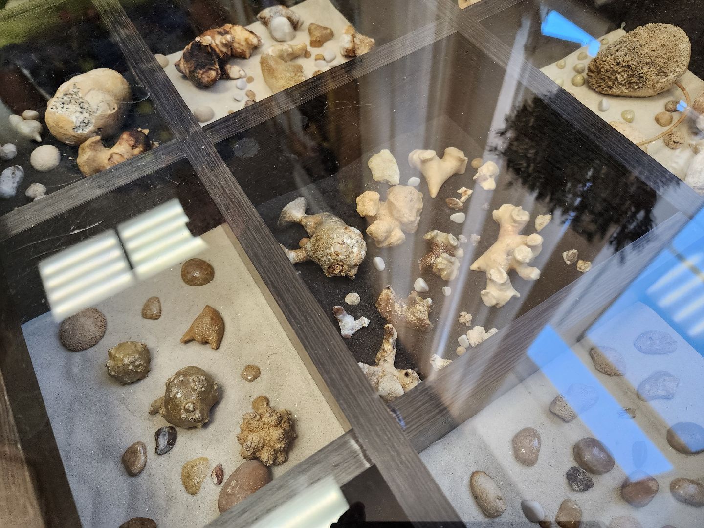 Подольск, медицина, помощь, операция, технологии, лапароскопия