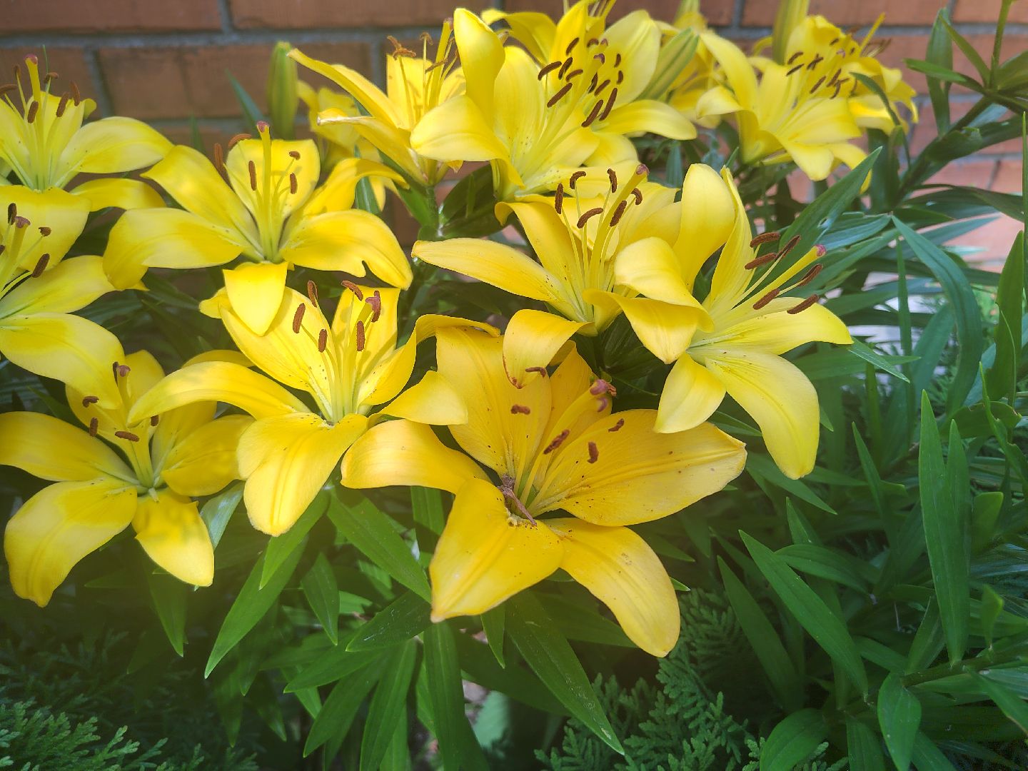 Пушкино, природа, люди, общество