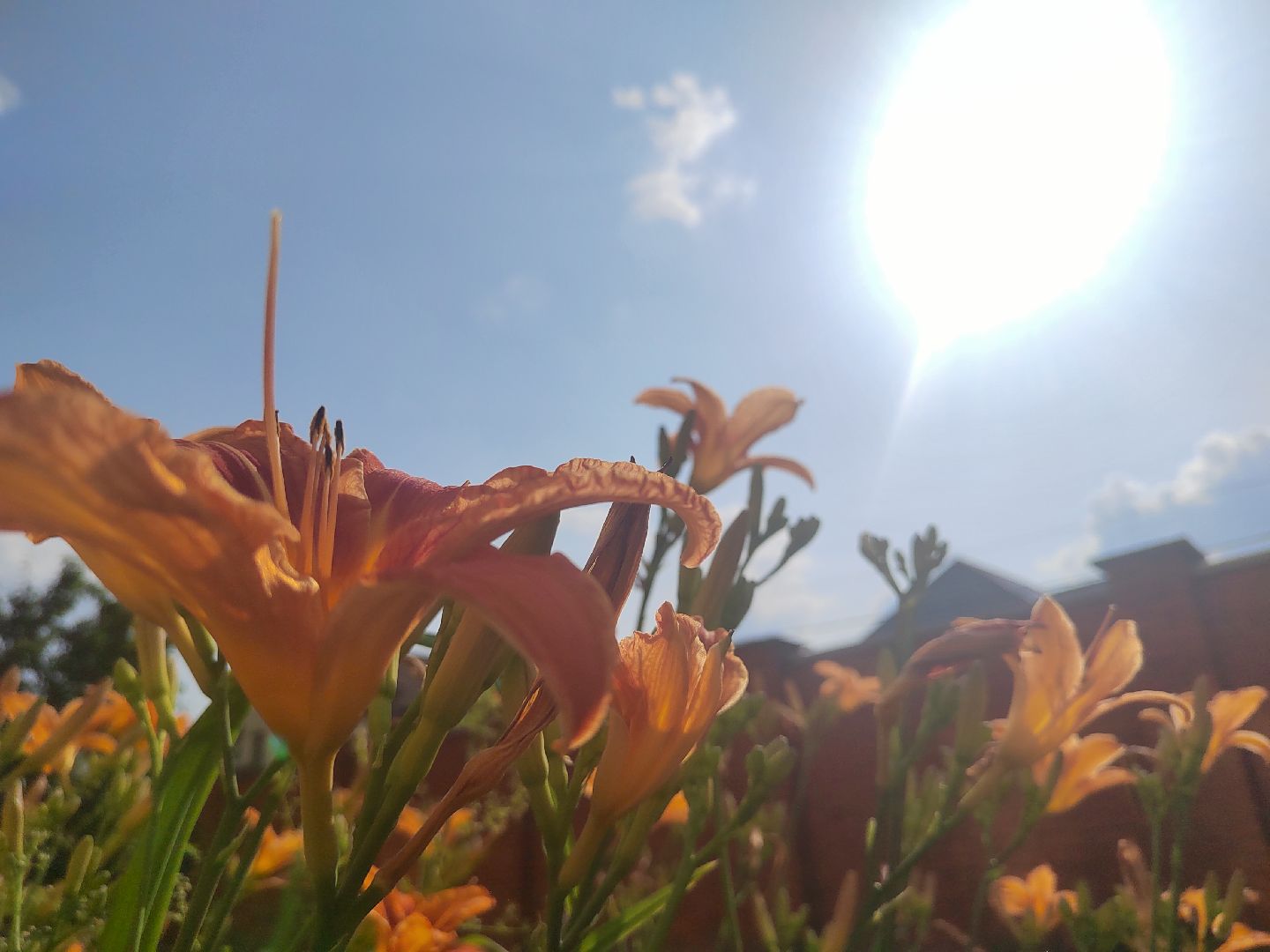 Пушкино, природа, люди, общество