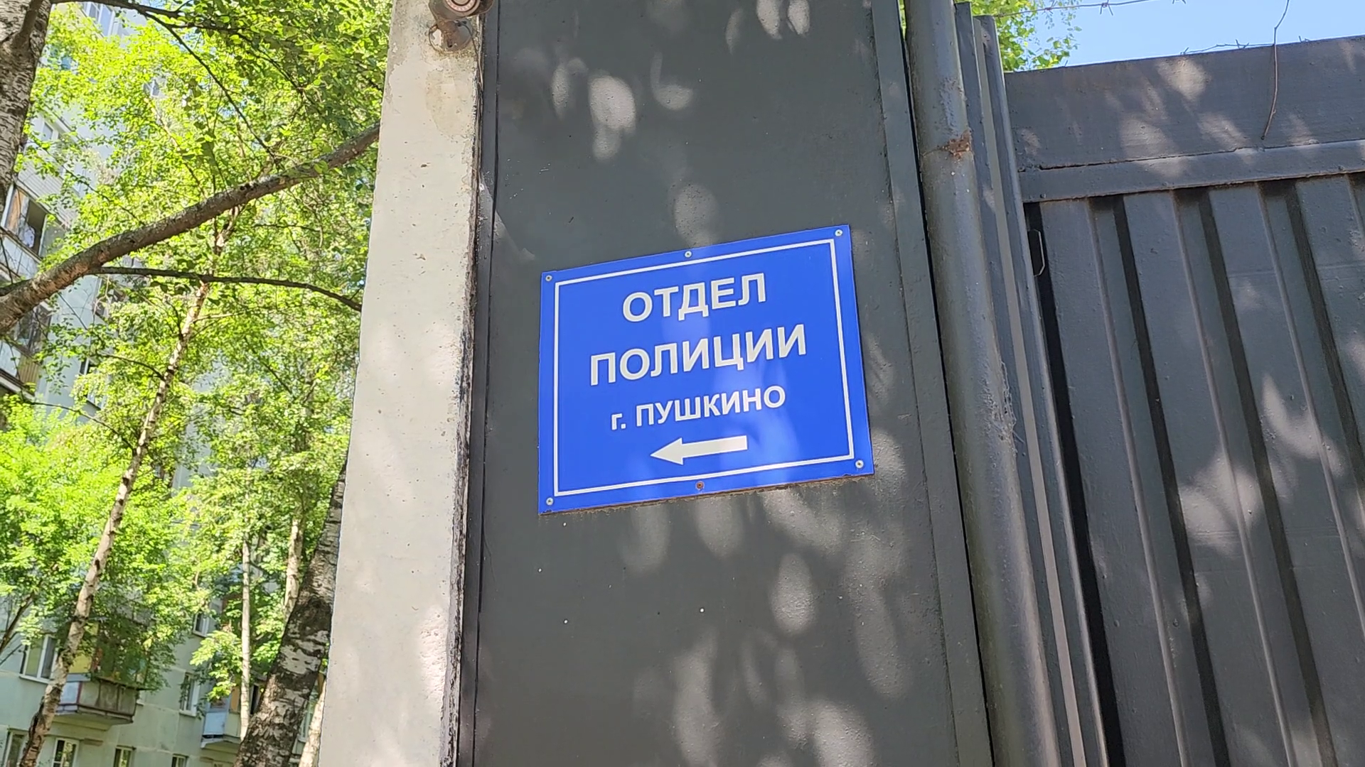 Пушкино, полиция, полиция России, МВД России, участковый уполномоченный полиции